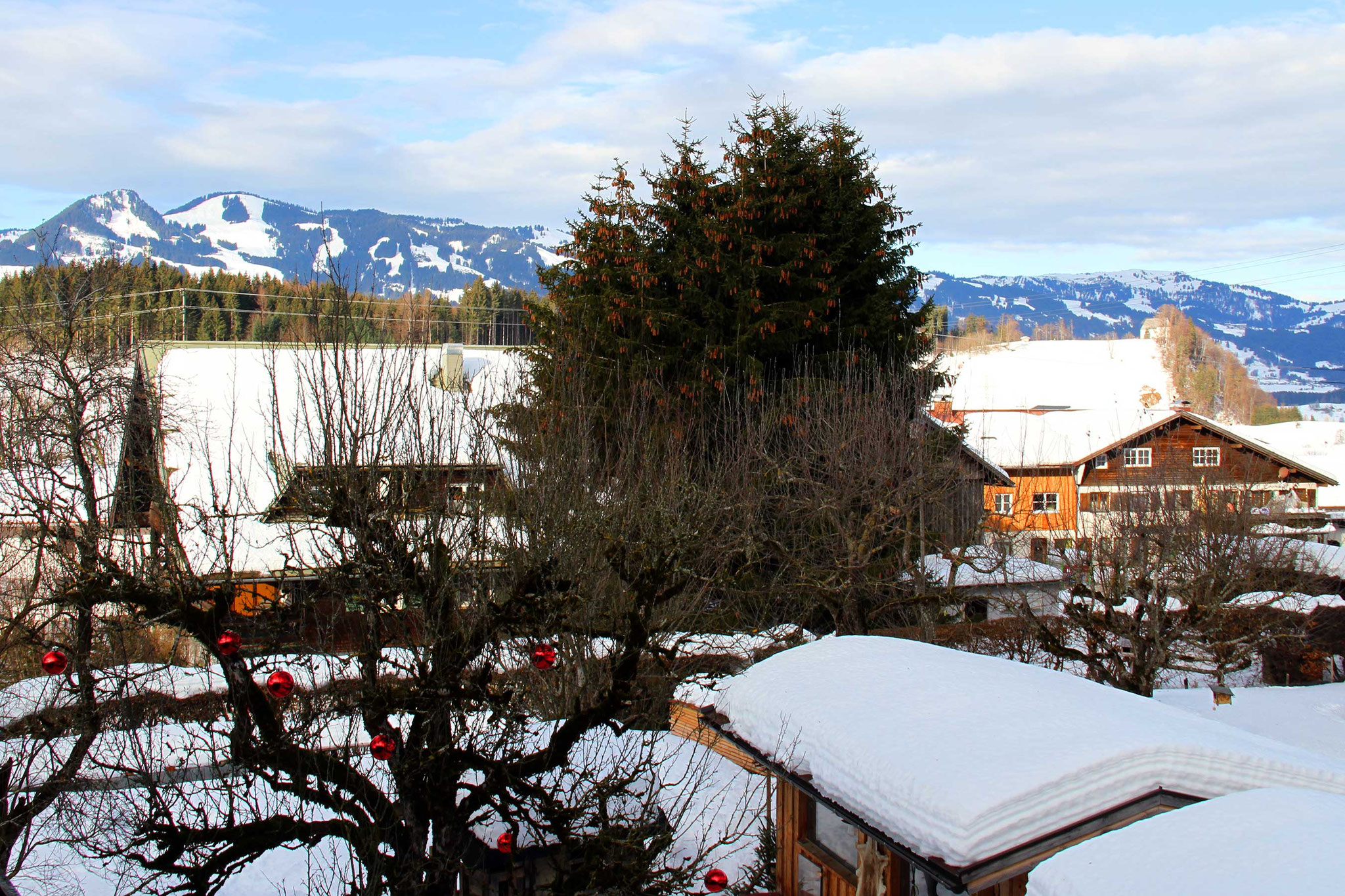 Ferienwohnungen Vogler, Reichenbach, FW Silberdistel