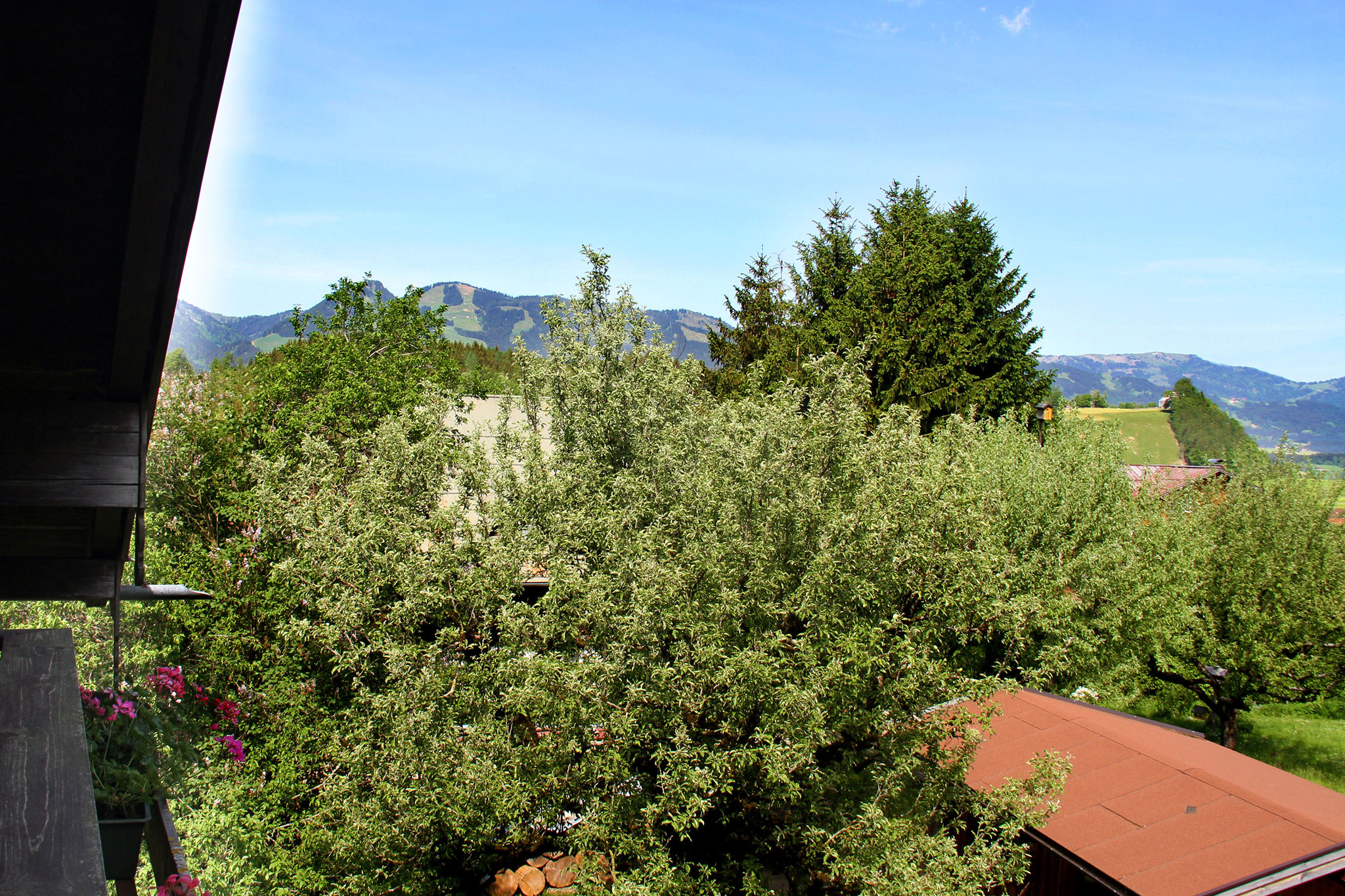 Ferienwohnungen Vogler, Reichenbach, FW Edelweiß