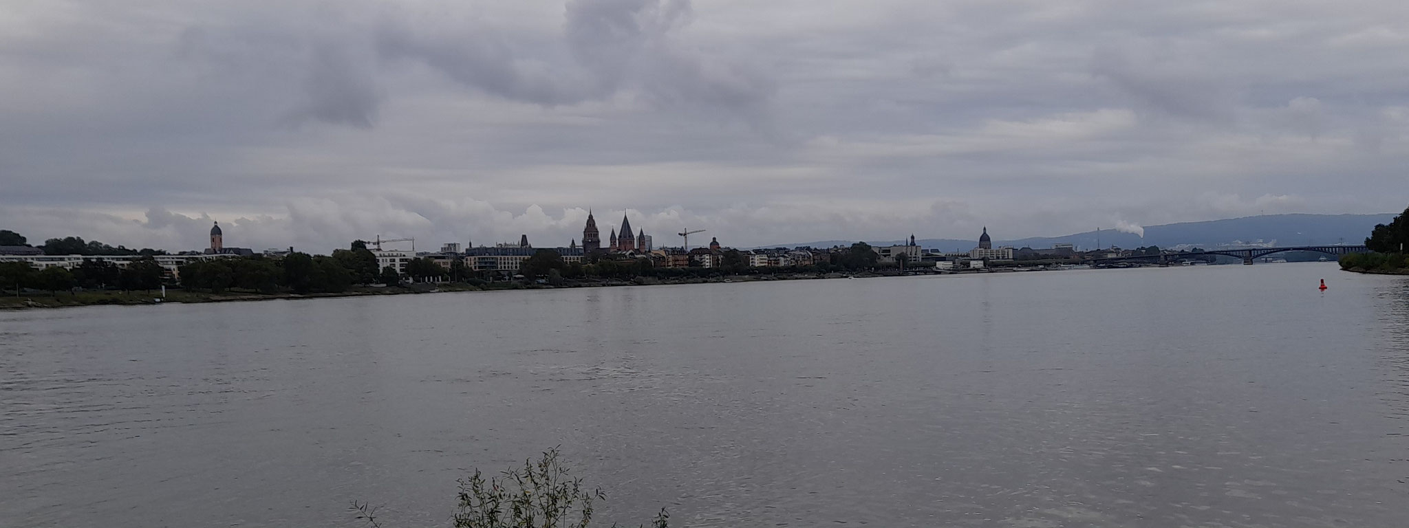 Blick auf Mainz von der Mainspitze