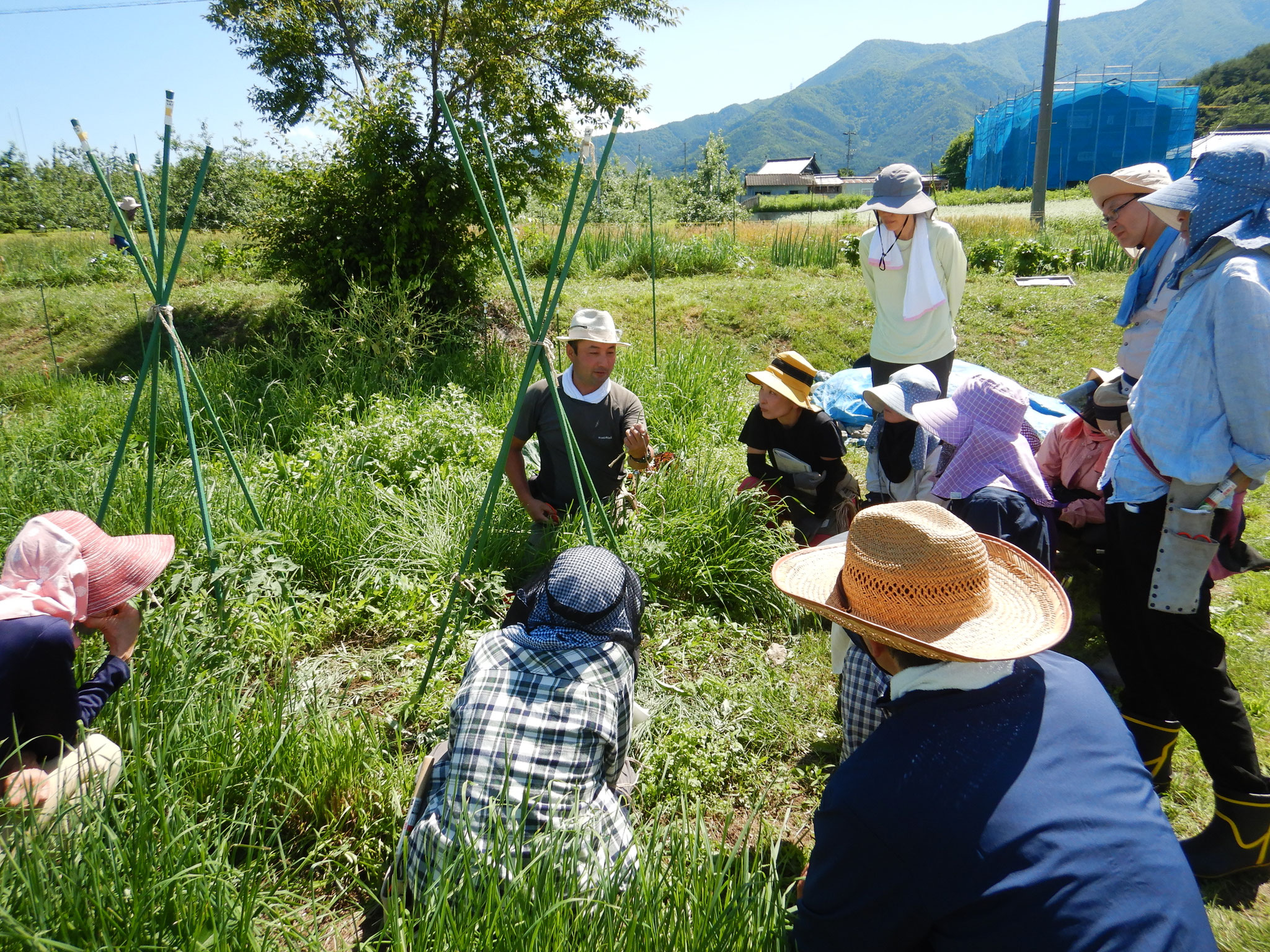 ホーム - 自給自足LIFE ～自然菜園で育てる楽しみ・食べる幸せ・豊かさ