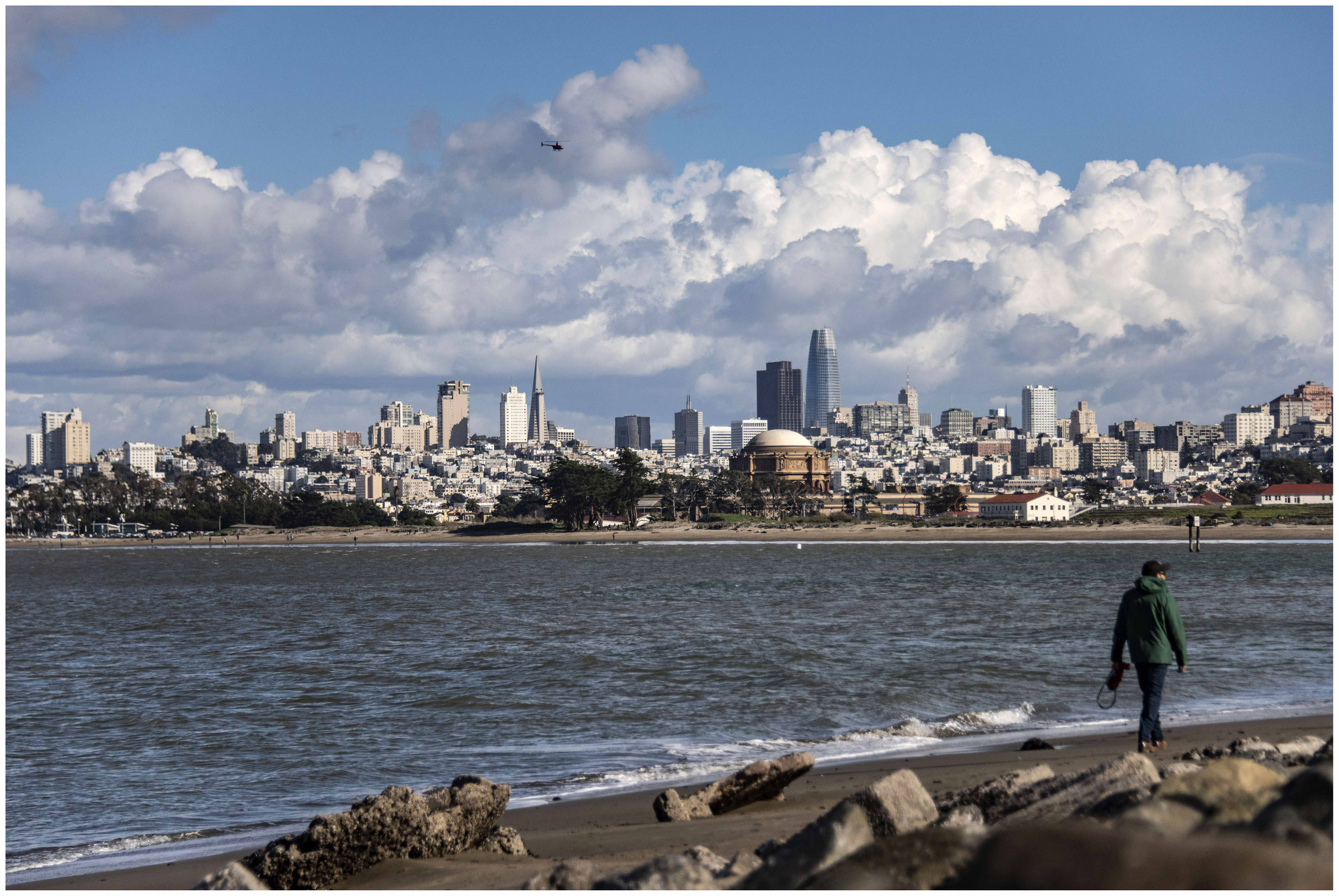 San Francisco aus Sicht des "Crissy Field" Parks