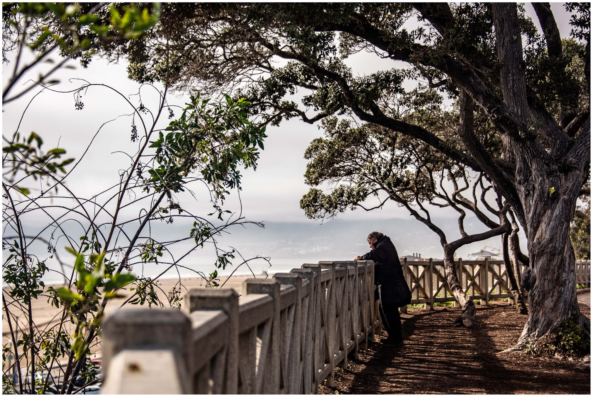 Santa Monica Beach