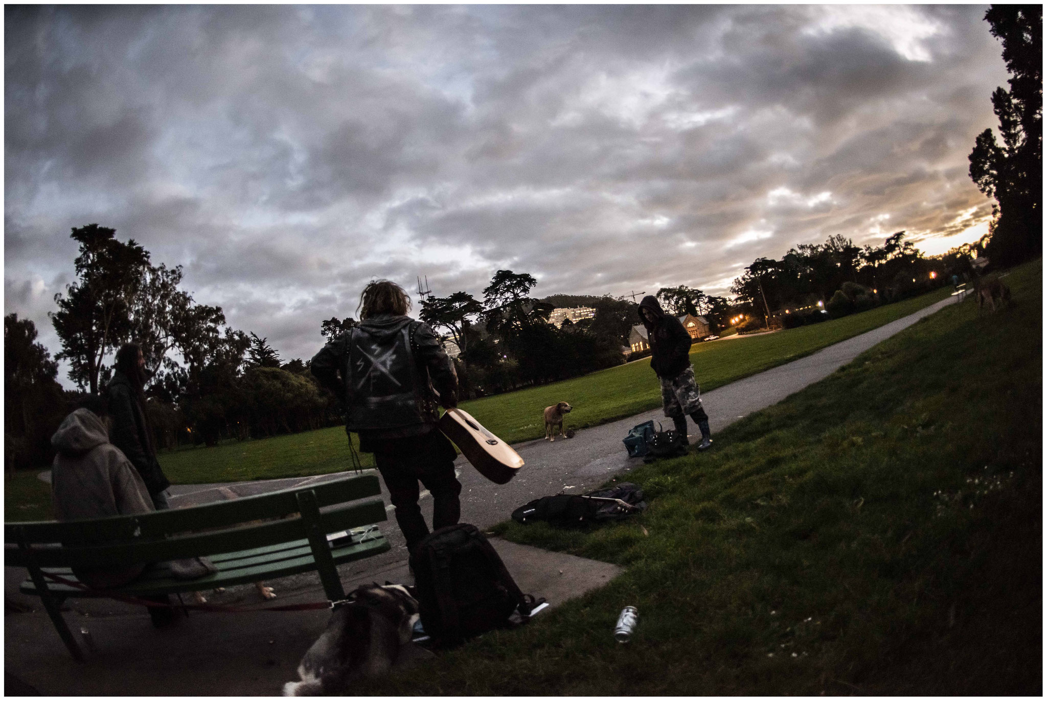 Im "Golden Gate Park" beim "Hippie Hill"
