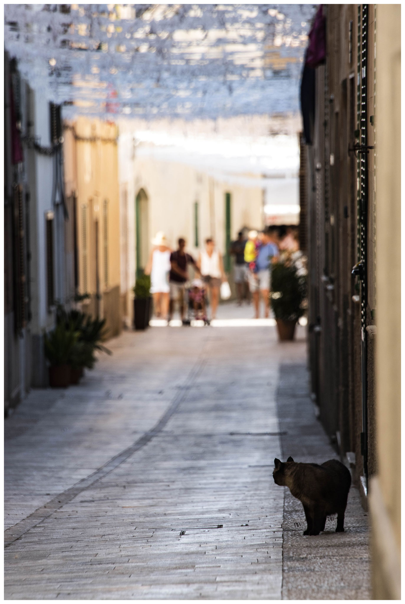 In "Alcúdia"