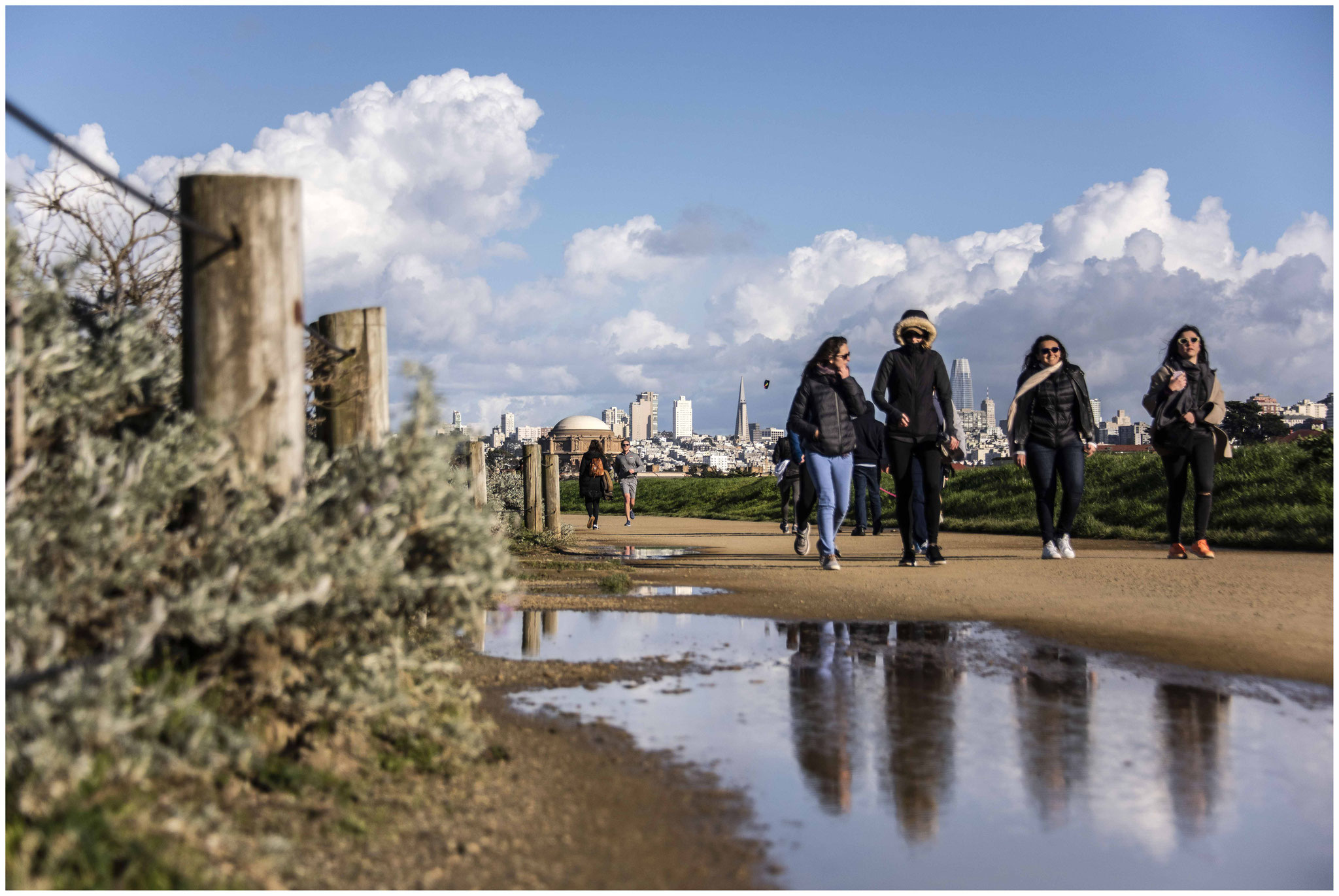 San Francisco aus Sicht des "Crissy Field" Parks 