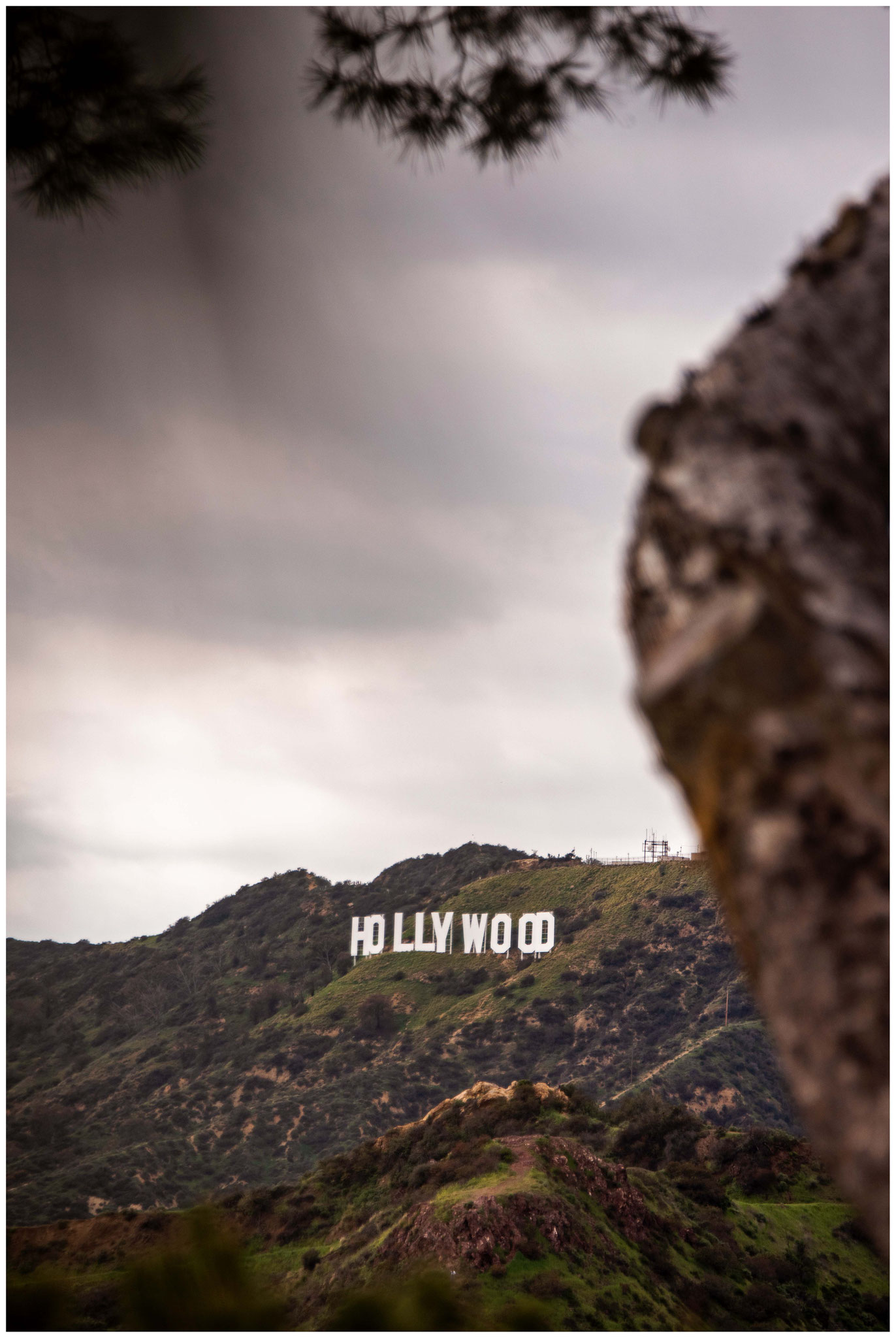 Aussicht vom "Griffith Park" tagsüber