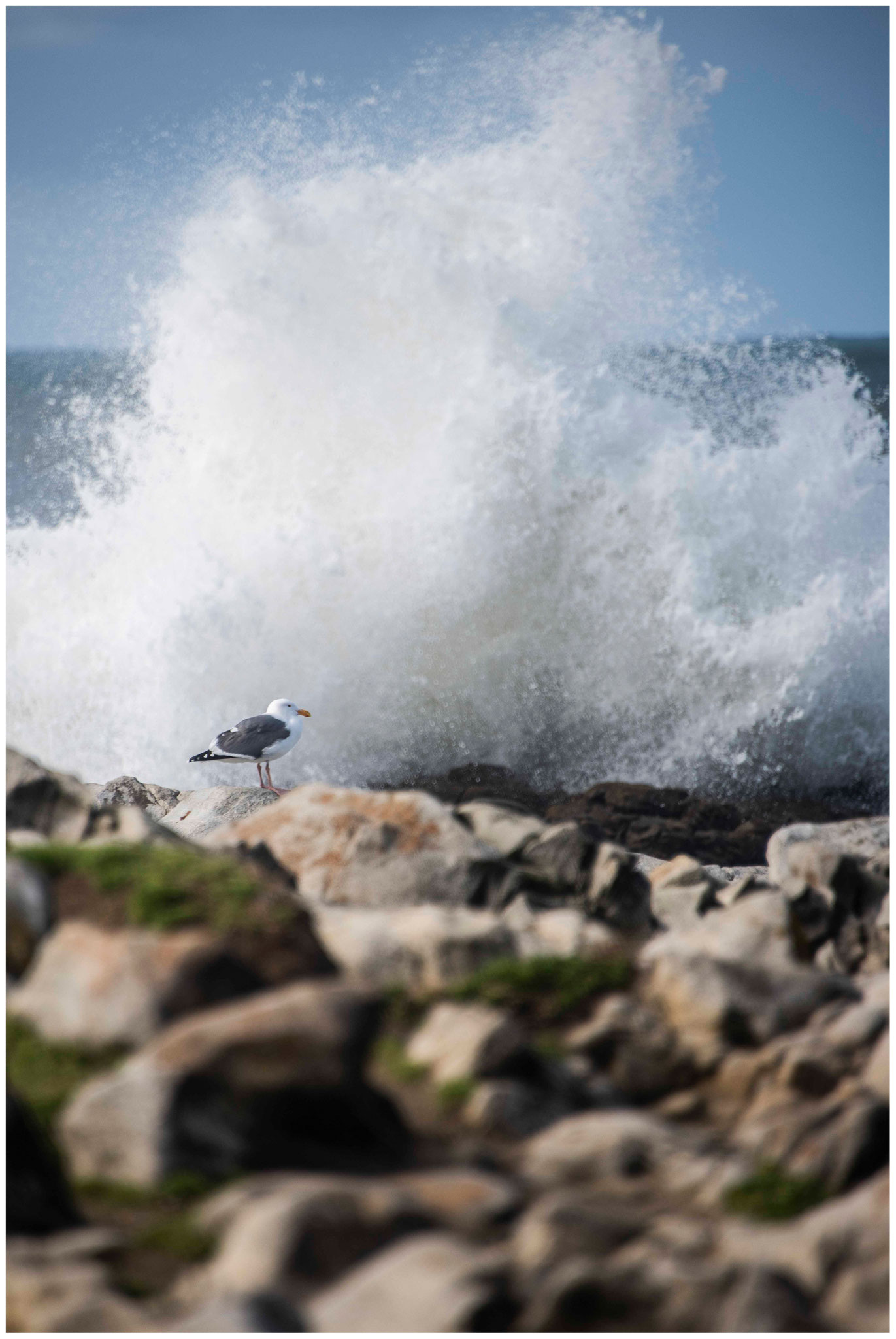 Am "Pescadero Beach"