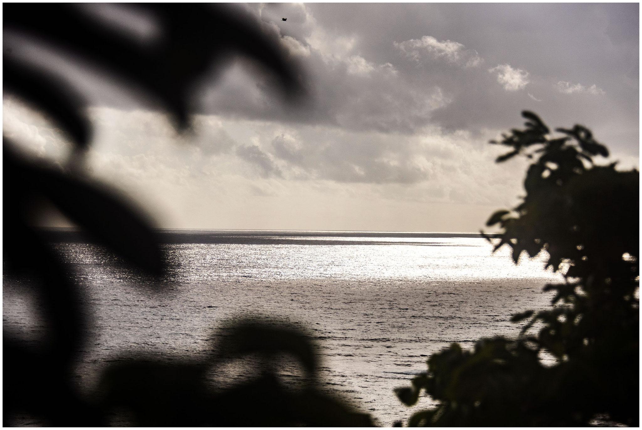 Aussicht von Andre's Wohnung in Long Bay