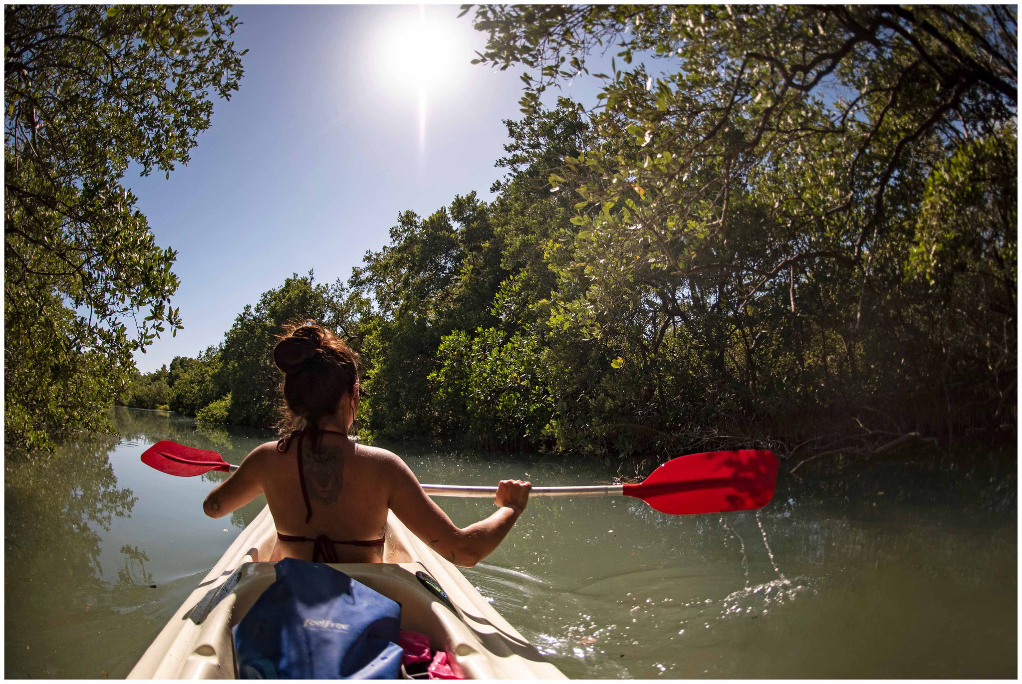 Kayak-Tour