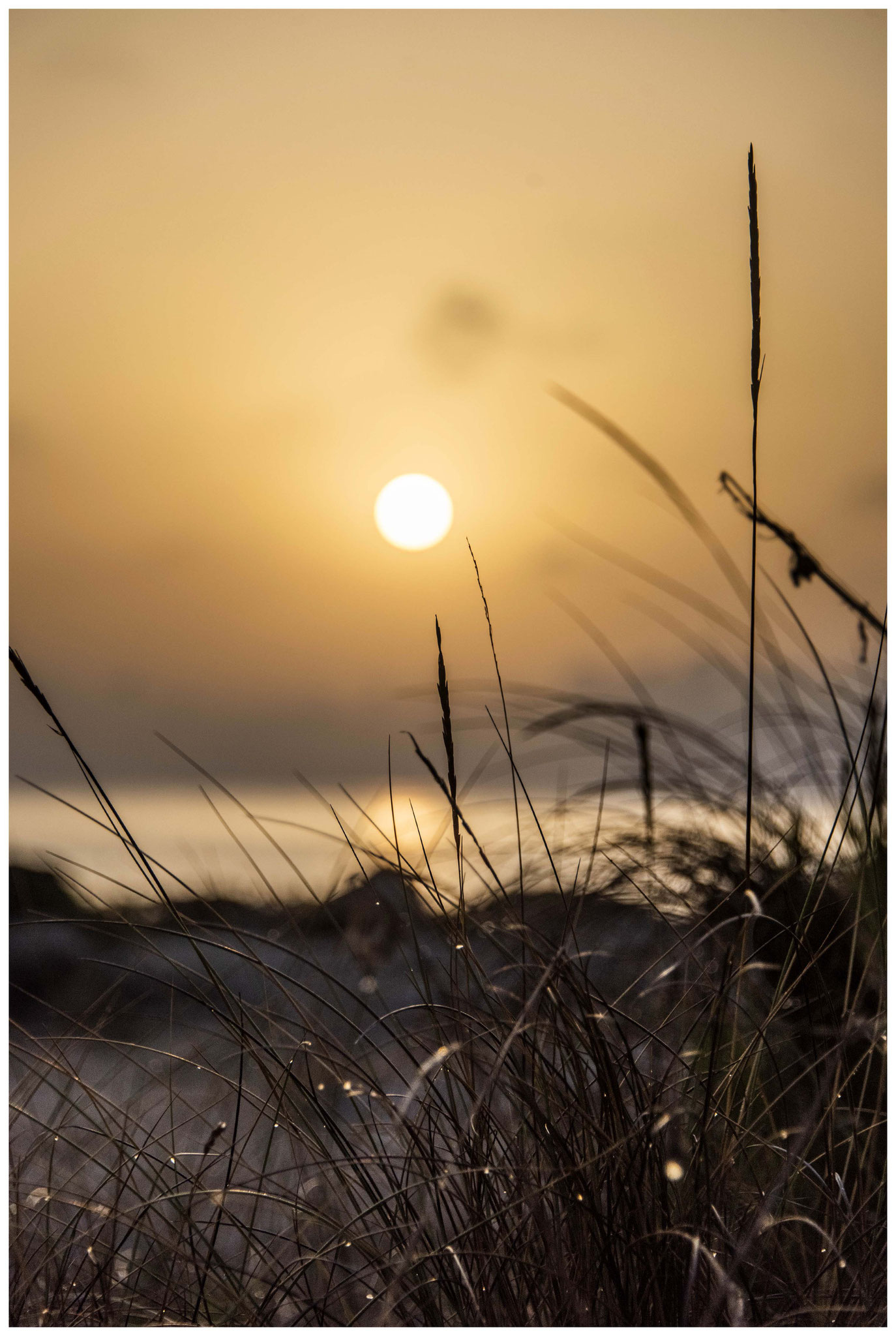Sonnenaufgang in "Can Picafort" 