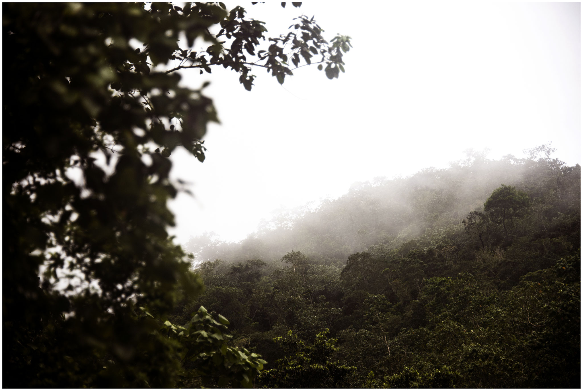 Blue Mountains