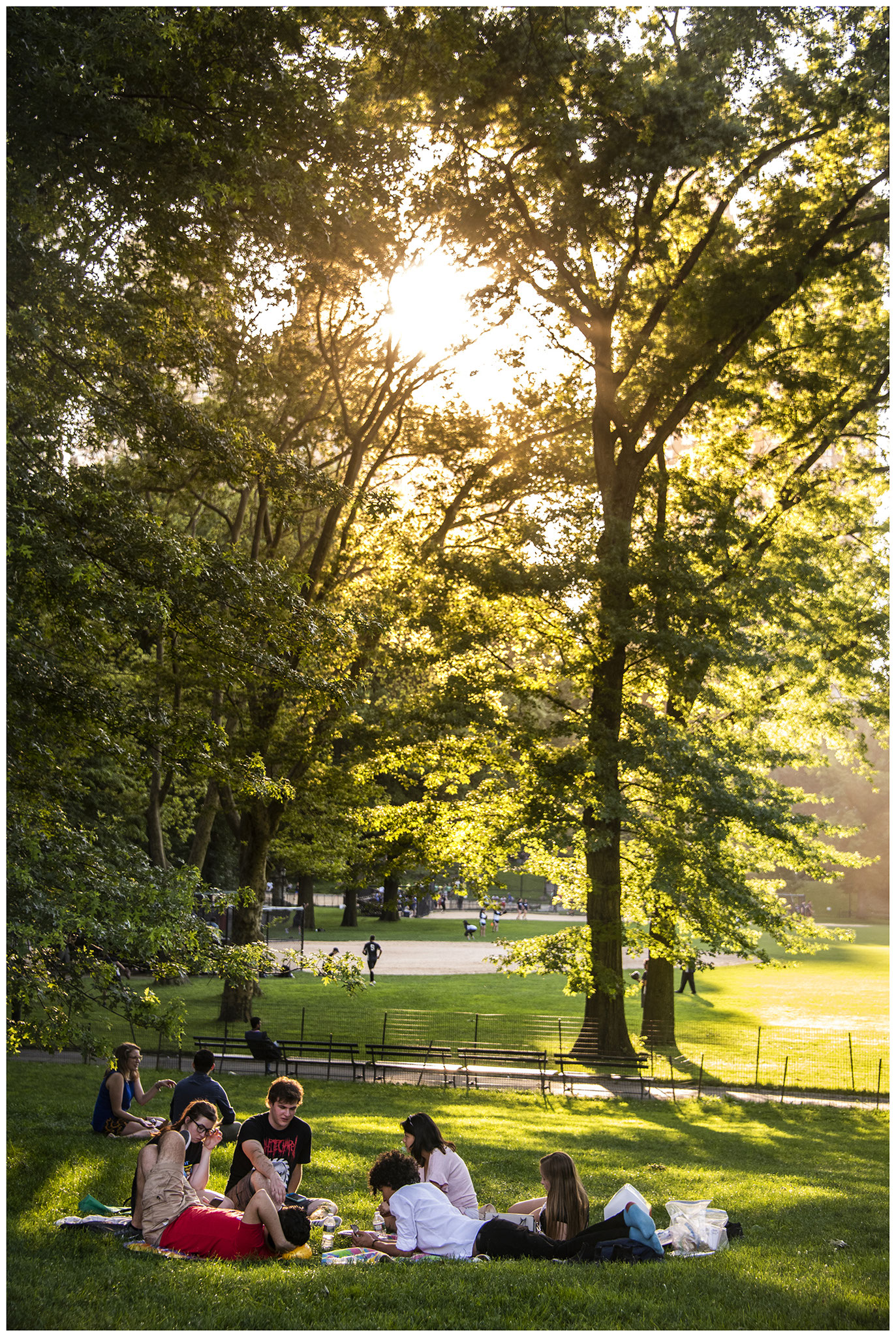 Im Central Park