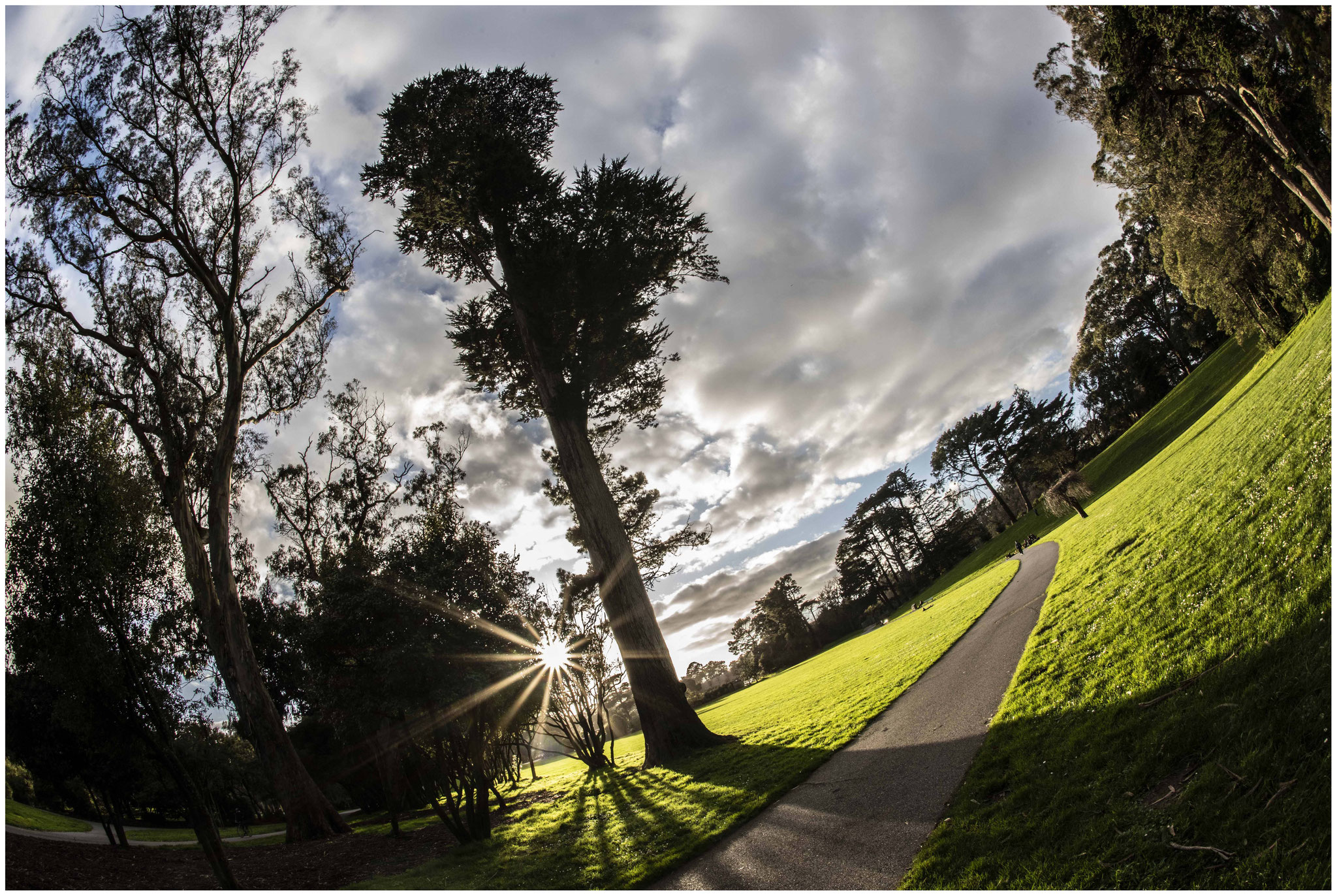 Im "Golden Gate Park" beim "Hippie Hill"