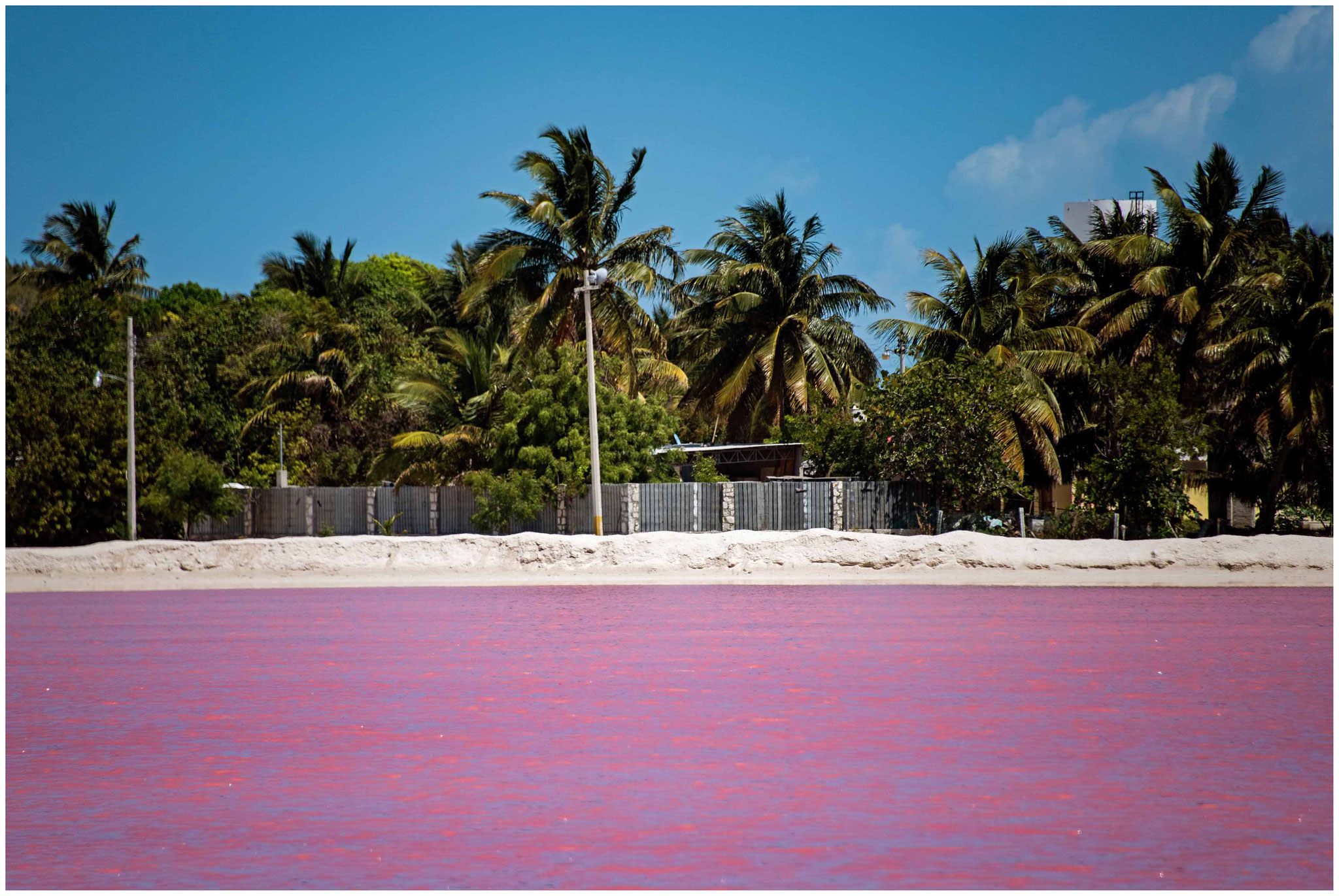 "Las Coloradas - pink lake"