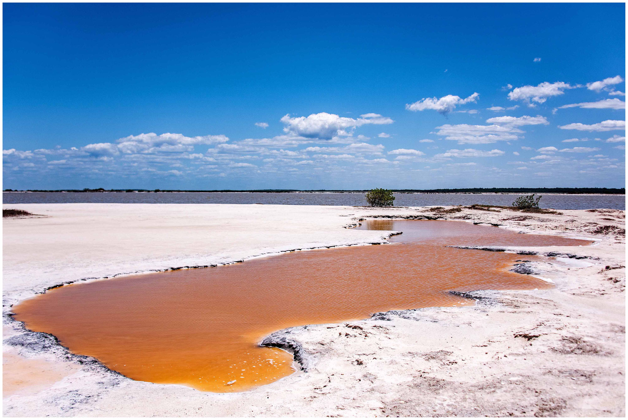 "Las Coloradas"