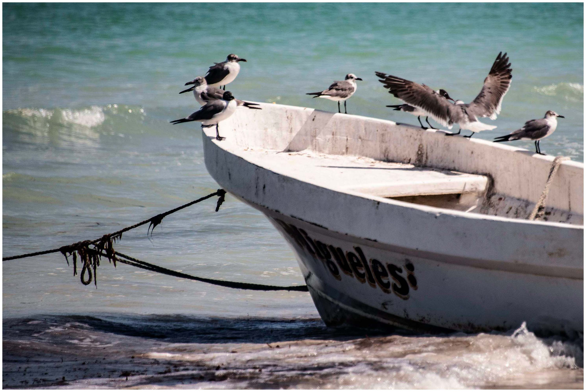 Am Strand auf Holbox