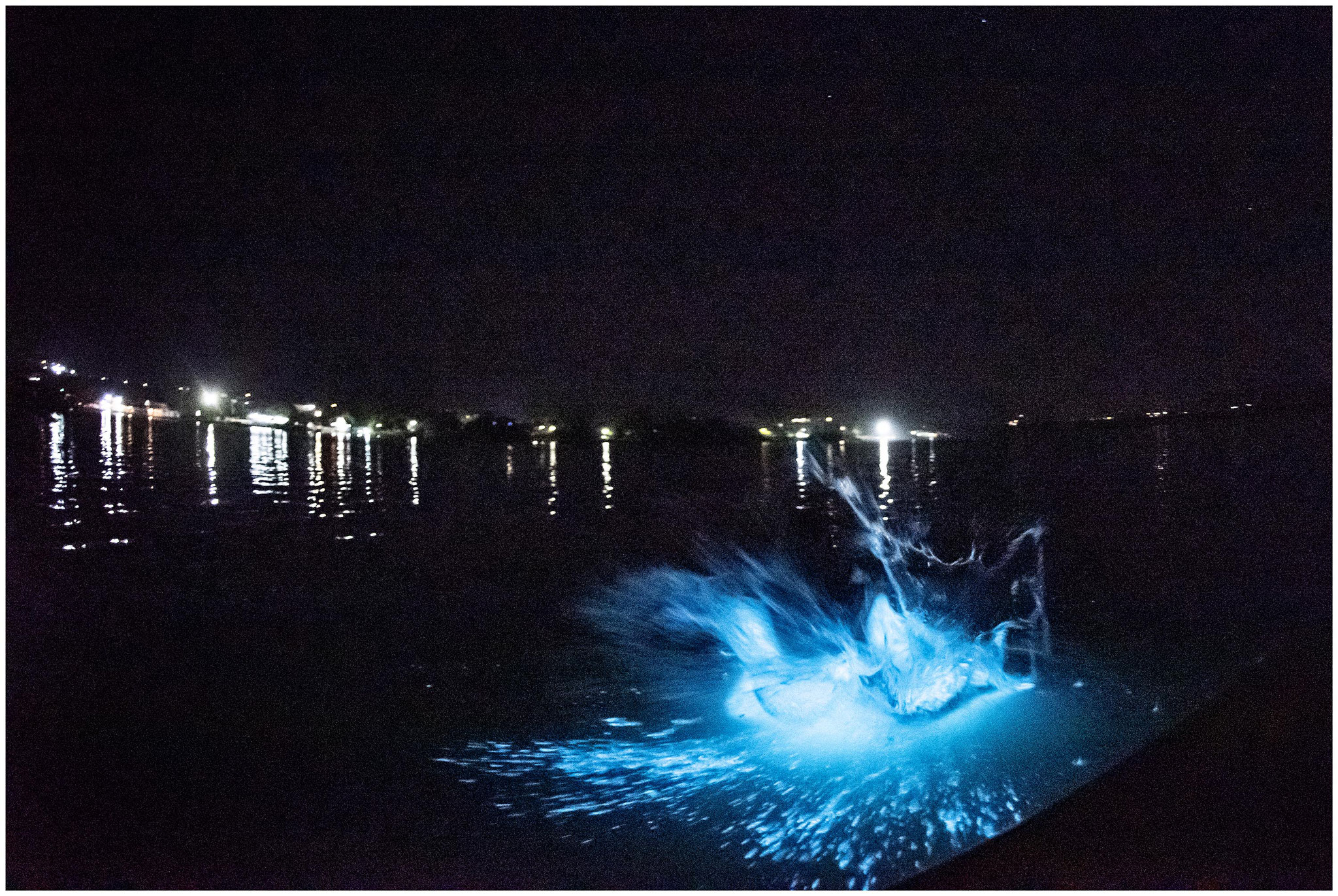 "Luminous Lagoon" in Montego Bay