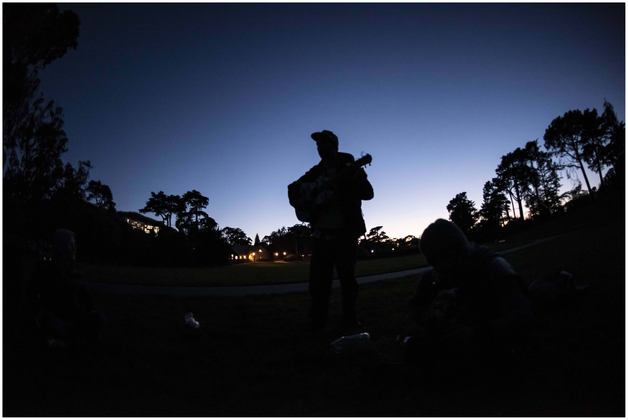 Im "Golden Gate Park" beim "Hippie Hill"