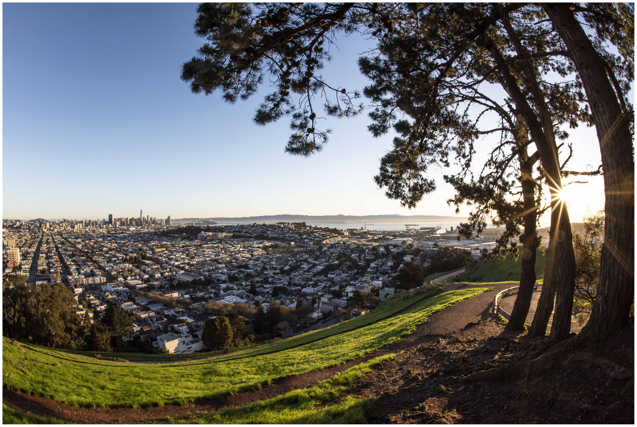 San Francisco aus Sicht des "Bernal Heights Parks" 
