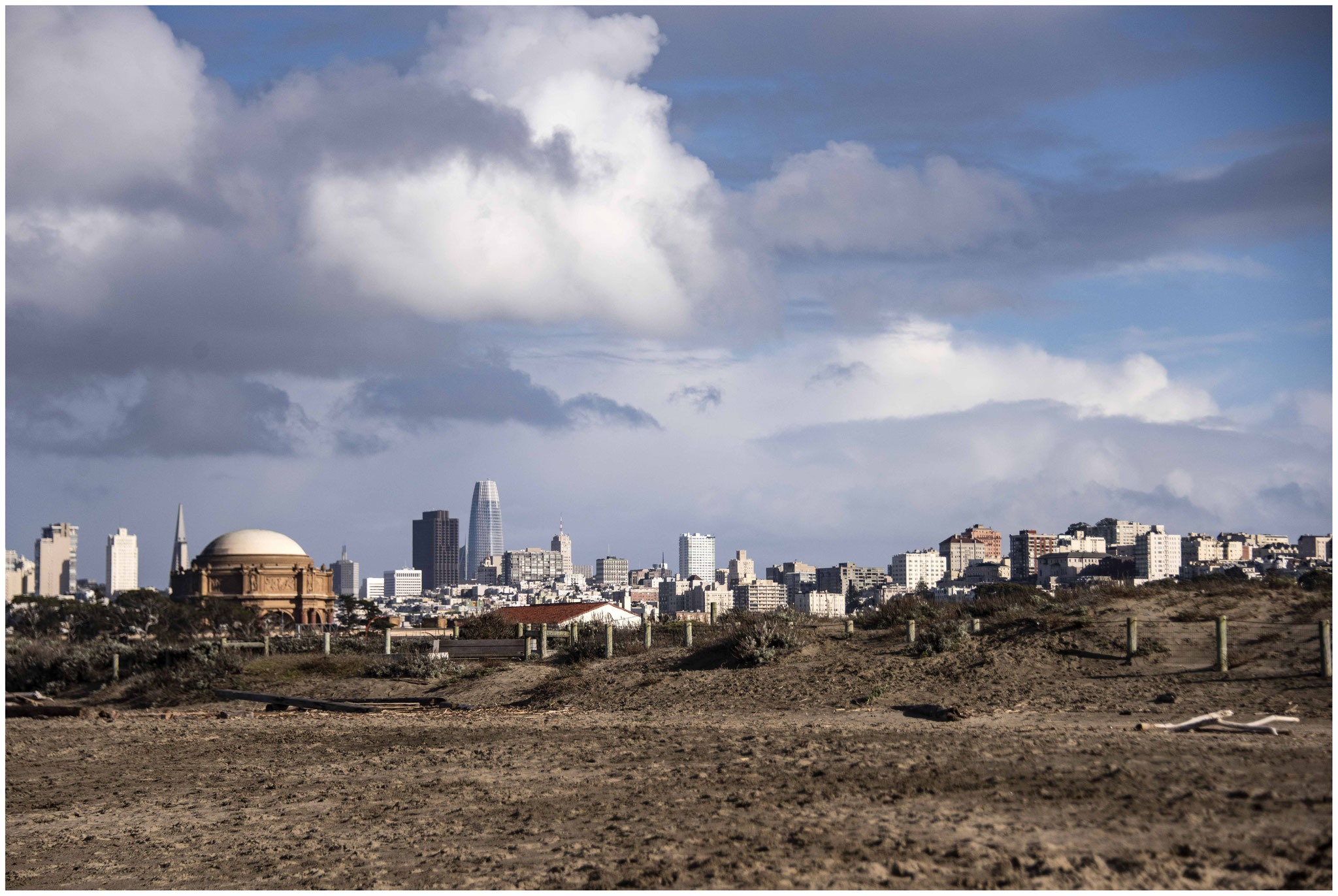 San Francisco aus Sicht des "Crissy Field" Parks