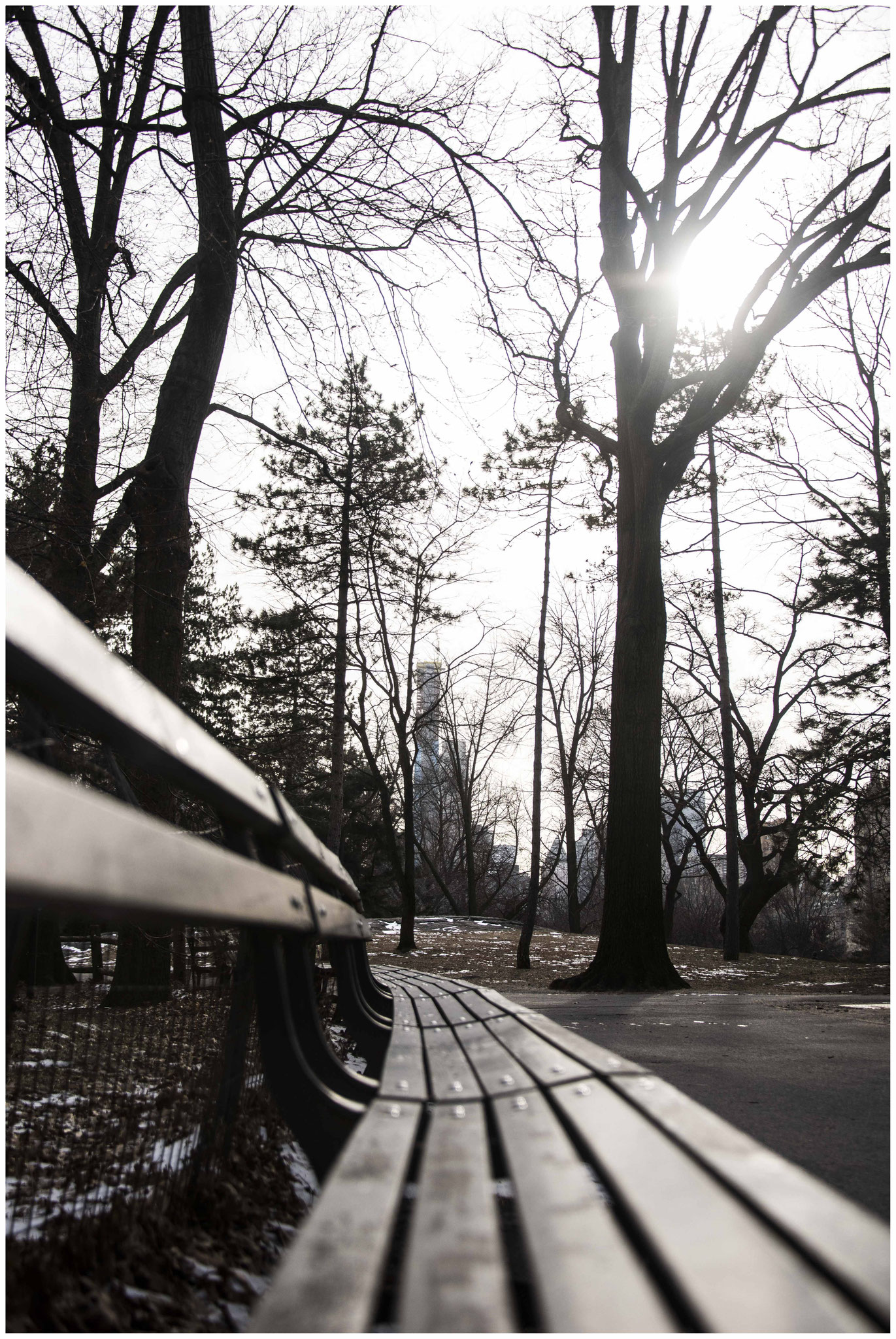 Central Park