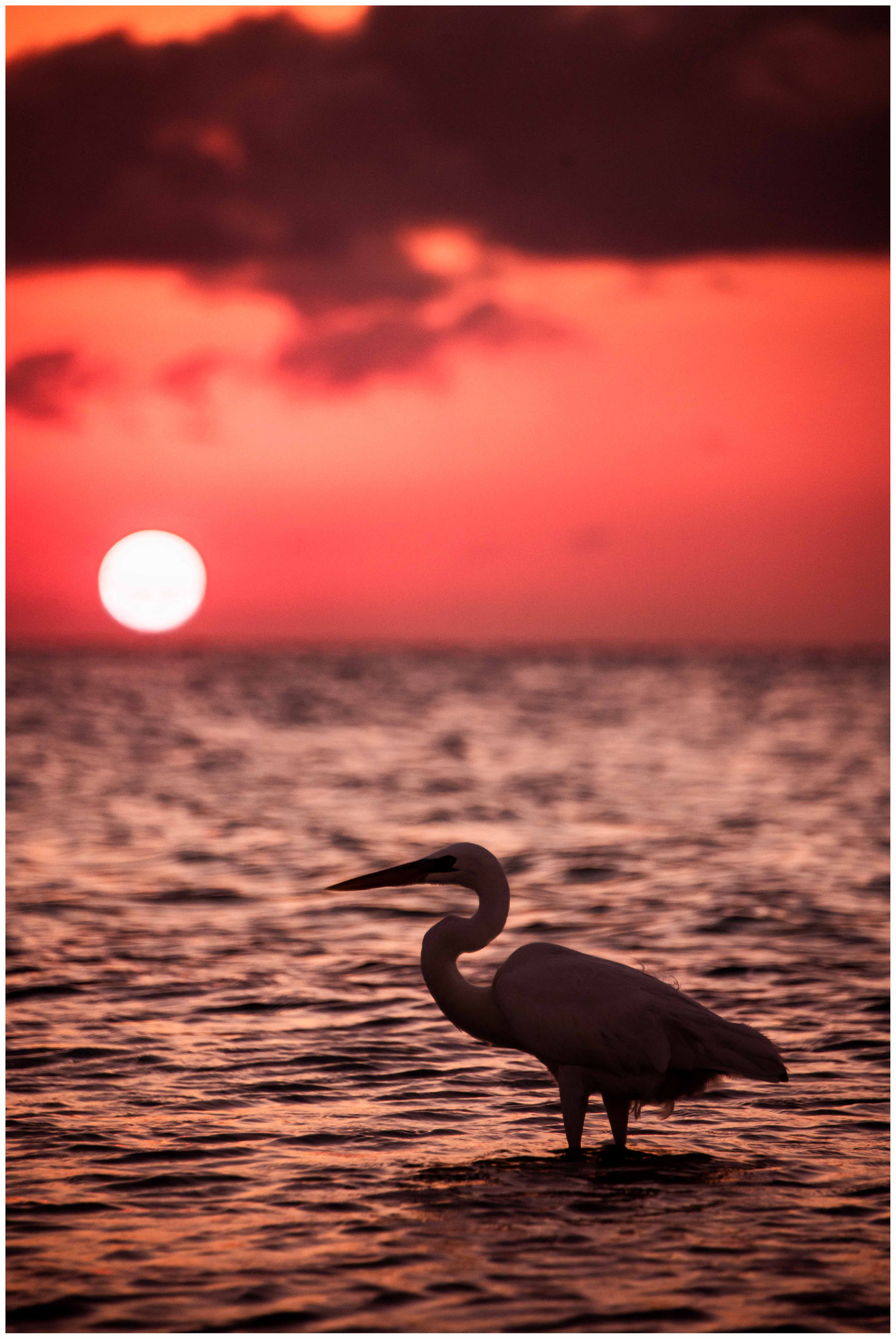Einer der Sonnenuntergänge auf Holbox