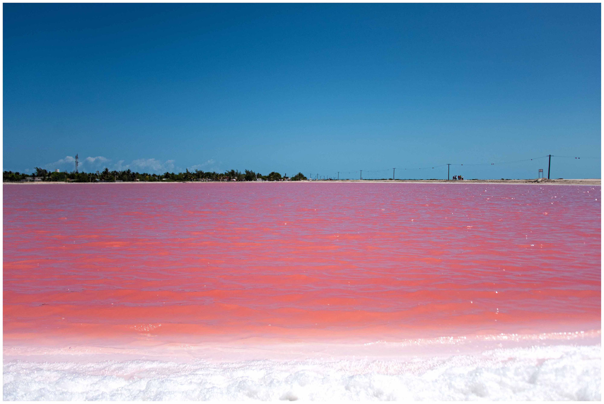 "Las Coloradas - pink lake"