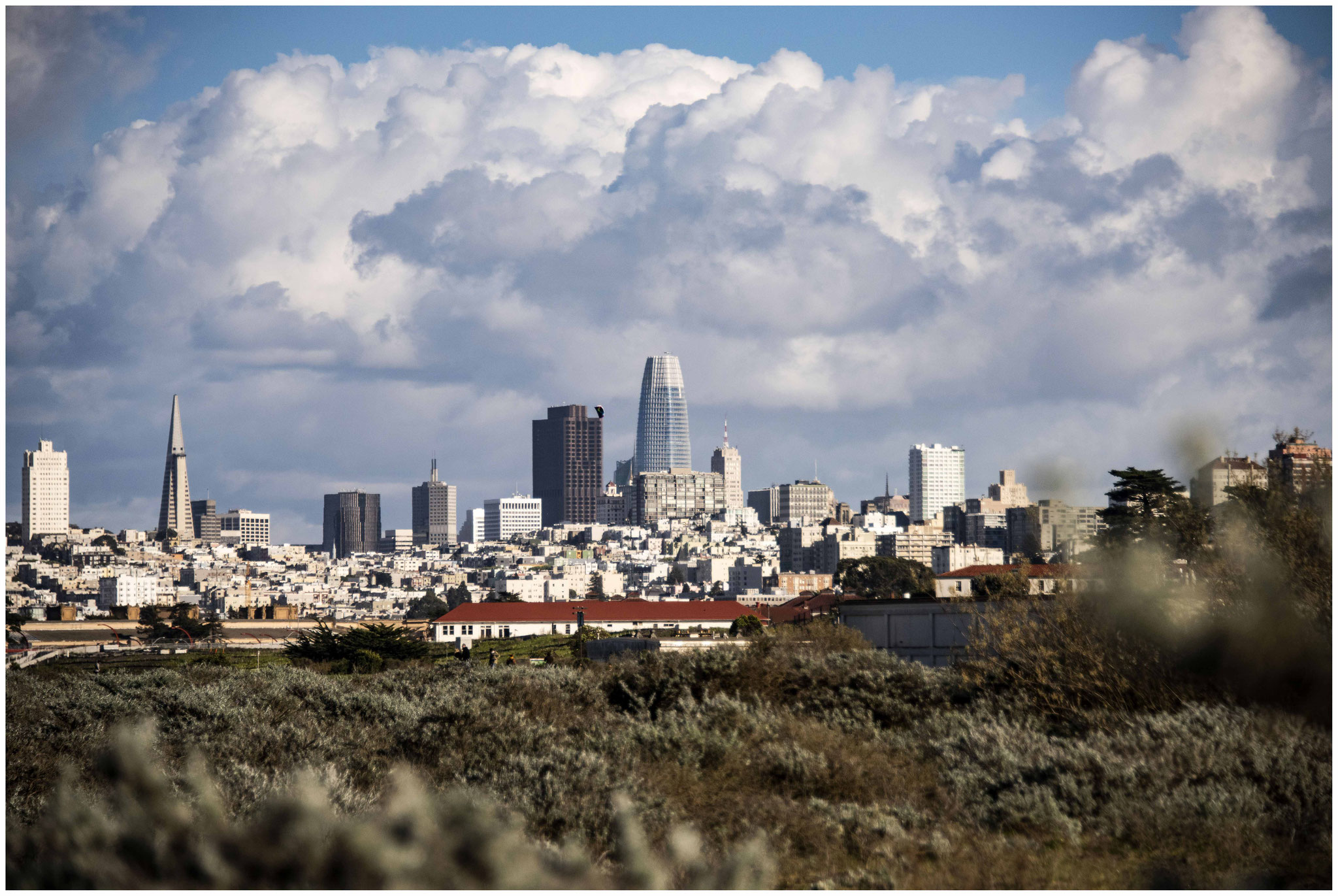 San Francisco aus Sicht des "Crissy Field" Parks 