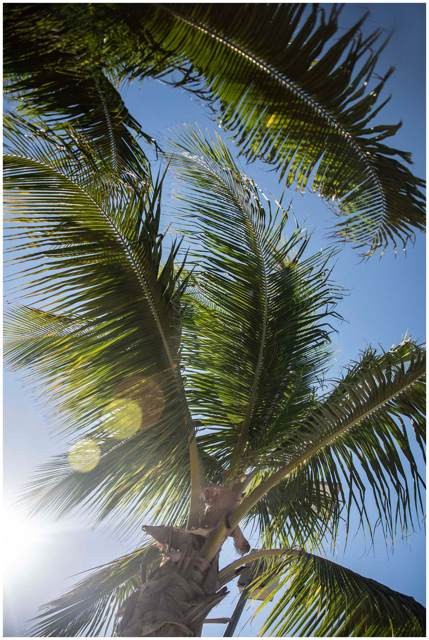 Am Strand auf Holbox