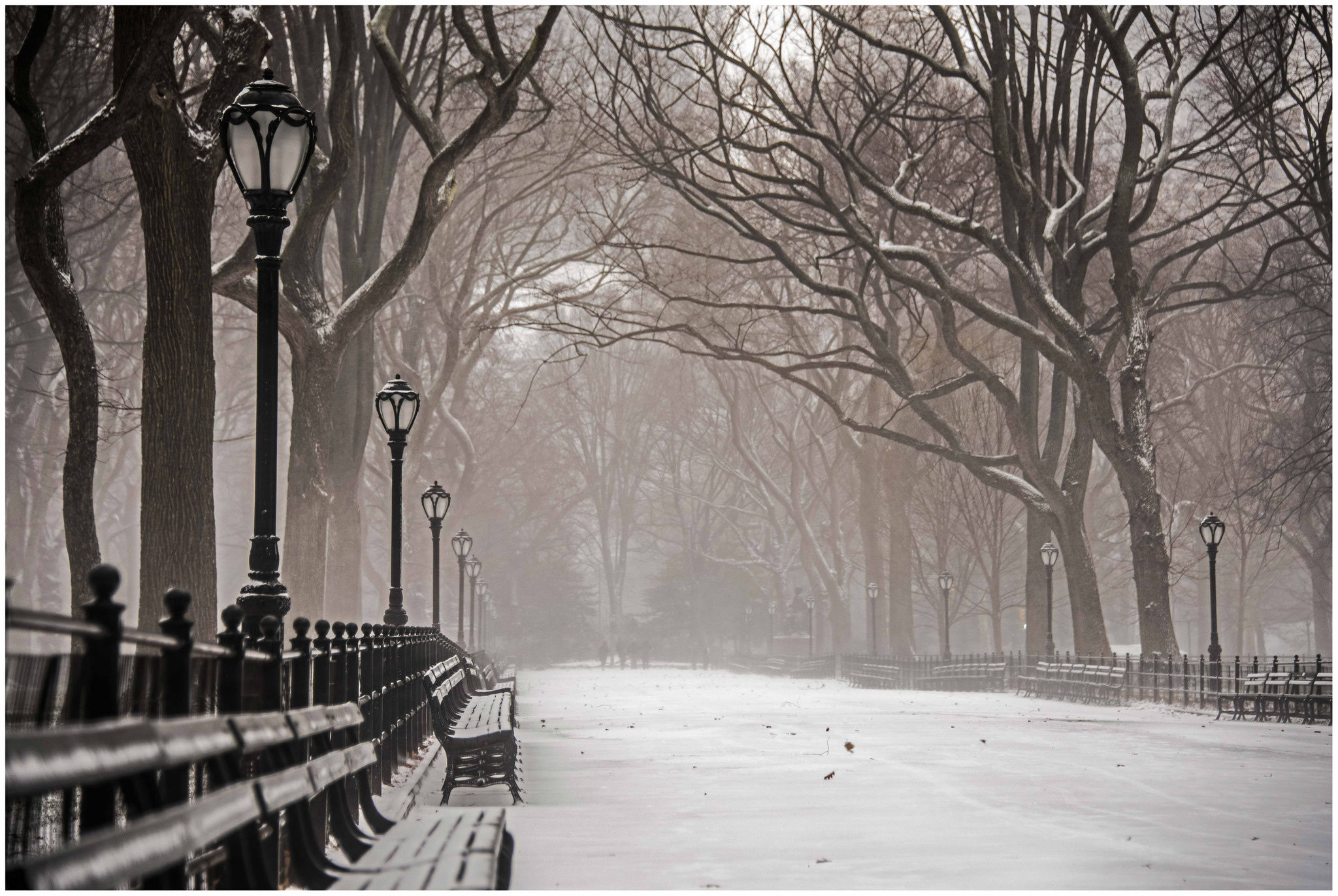 Der verschneite Central Park