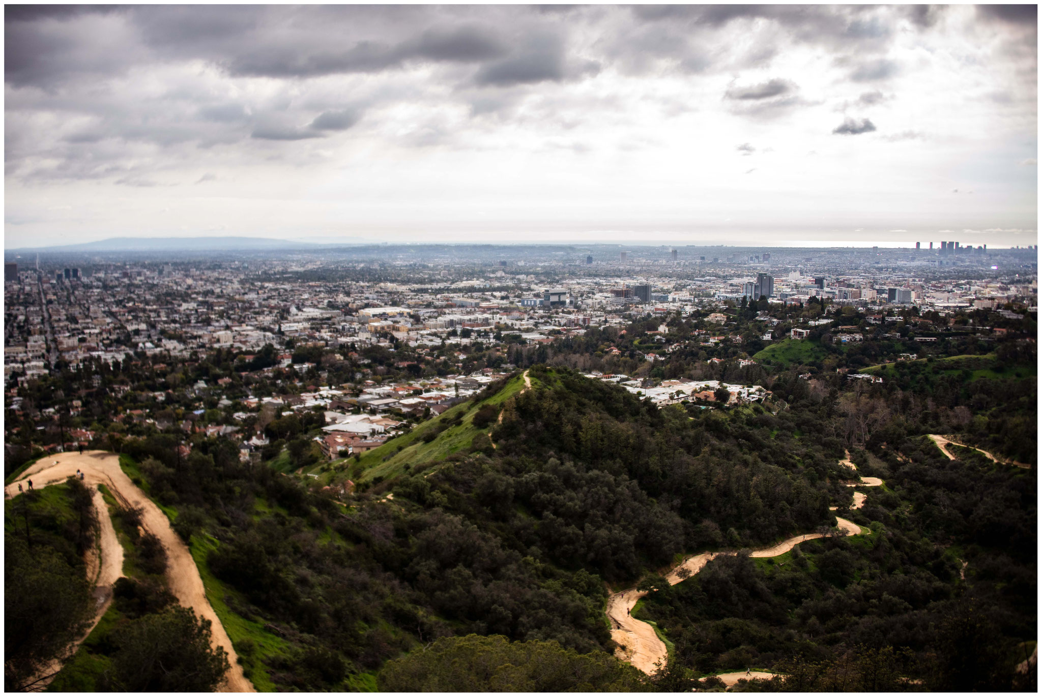 Aussicht vom "Griffith Park" tagsüber
