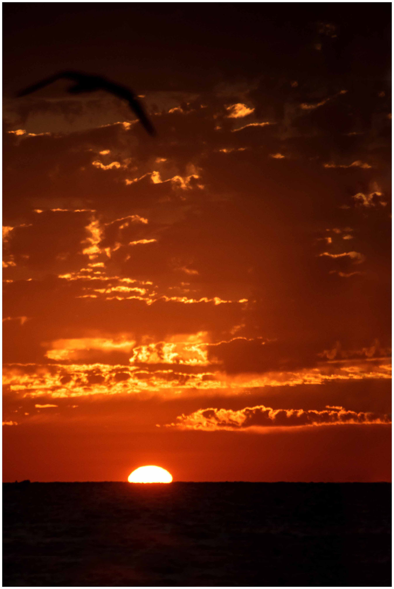 Einer der Sonnenuntergänge auf Holbox