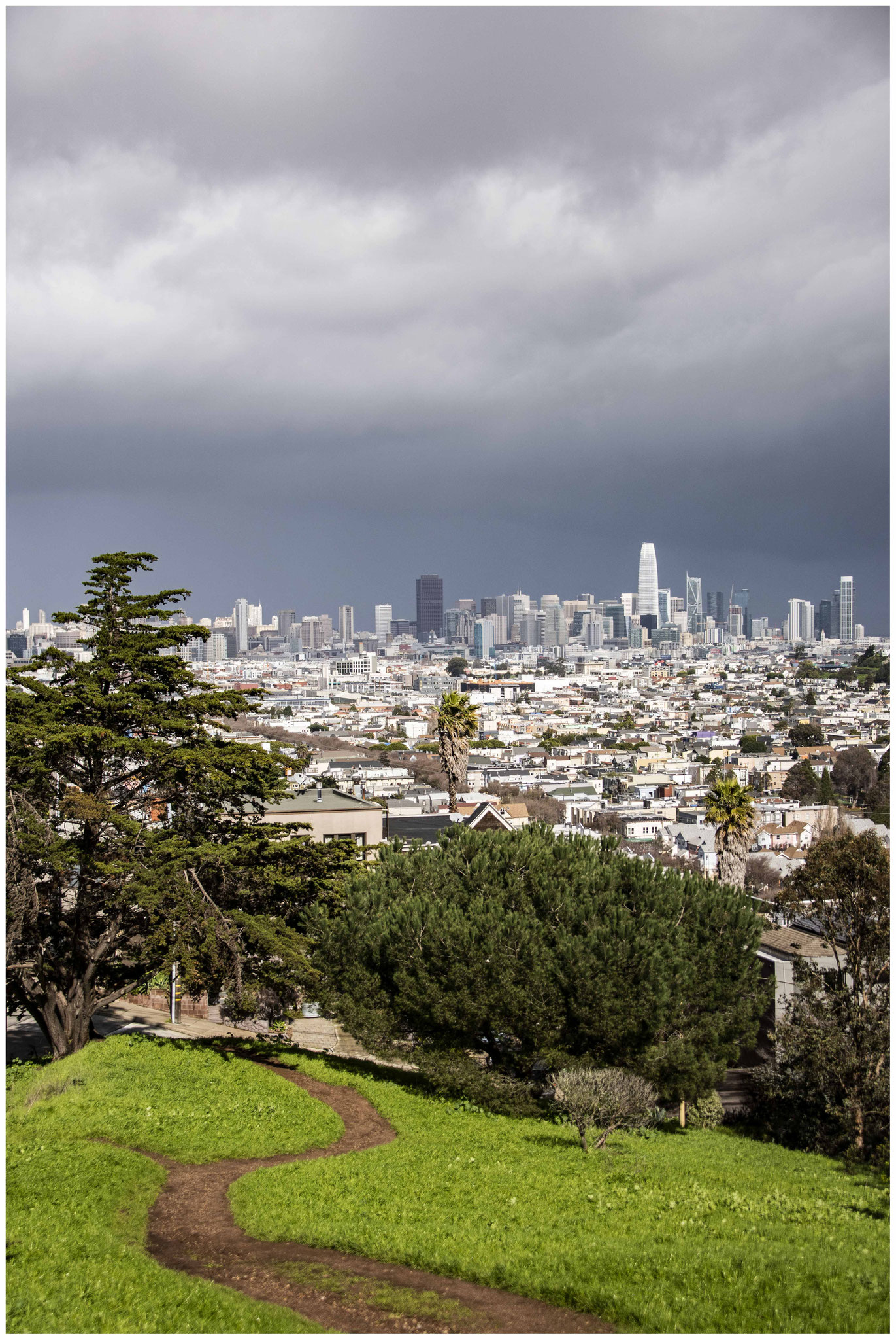 Aussicht über San Francisco vom "Bernal Heights Park"