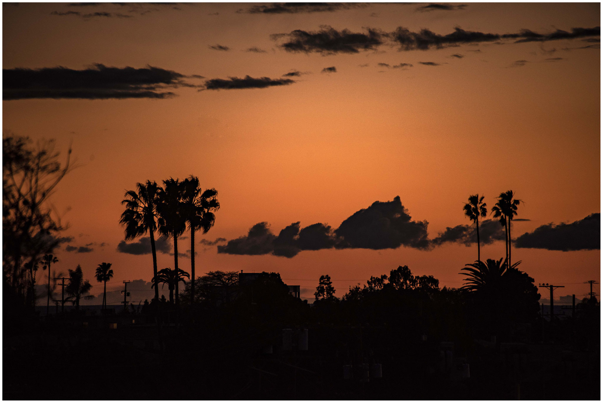 Aussicht der Unterkunft in Santa Monica Richtung "Venice Beach"
