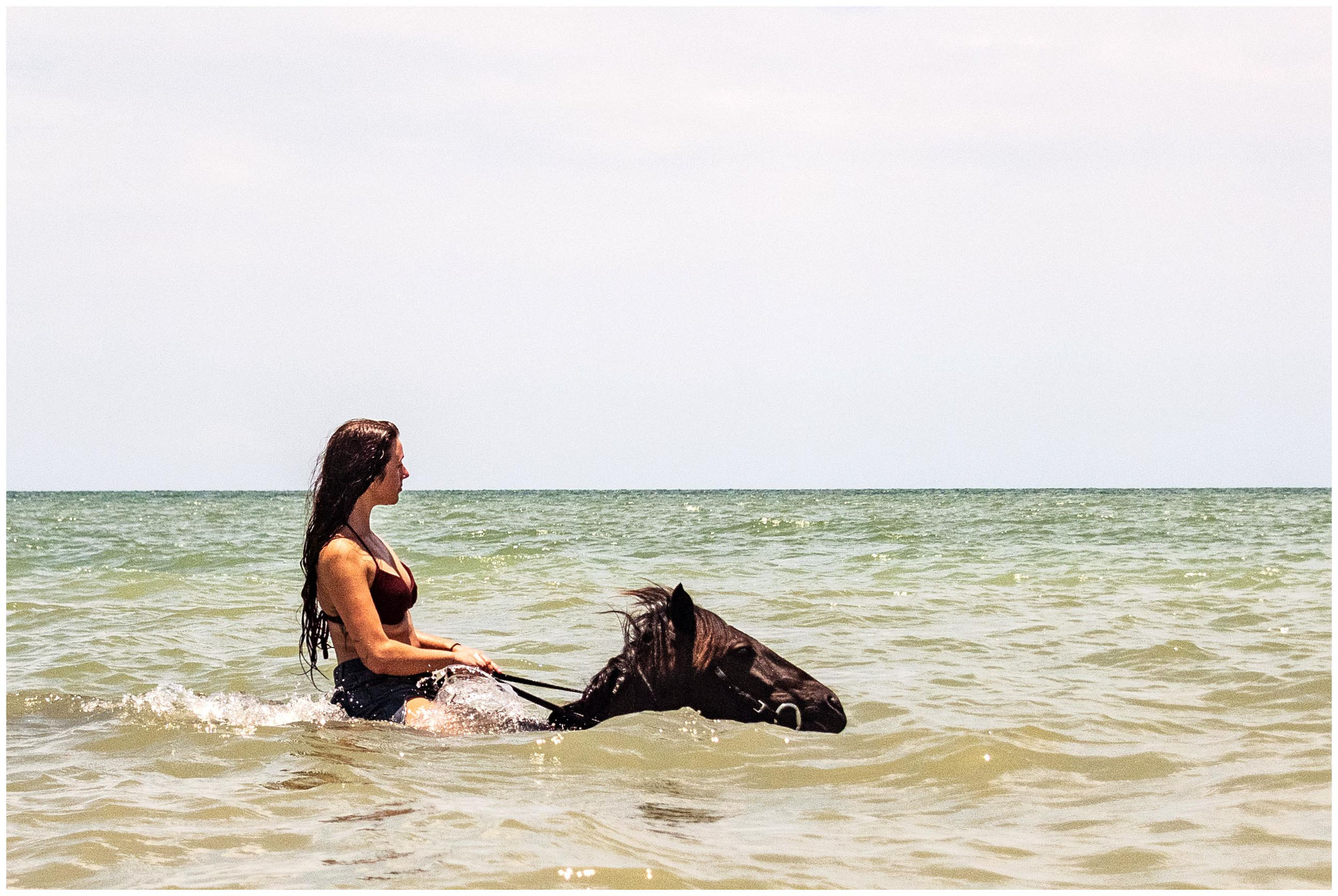 Reitausflug in Savanna la mar
