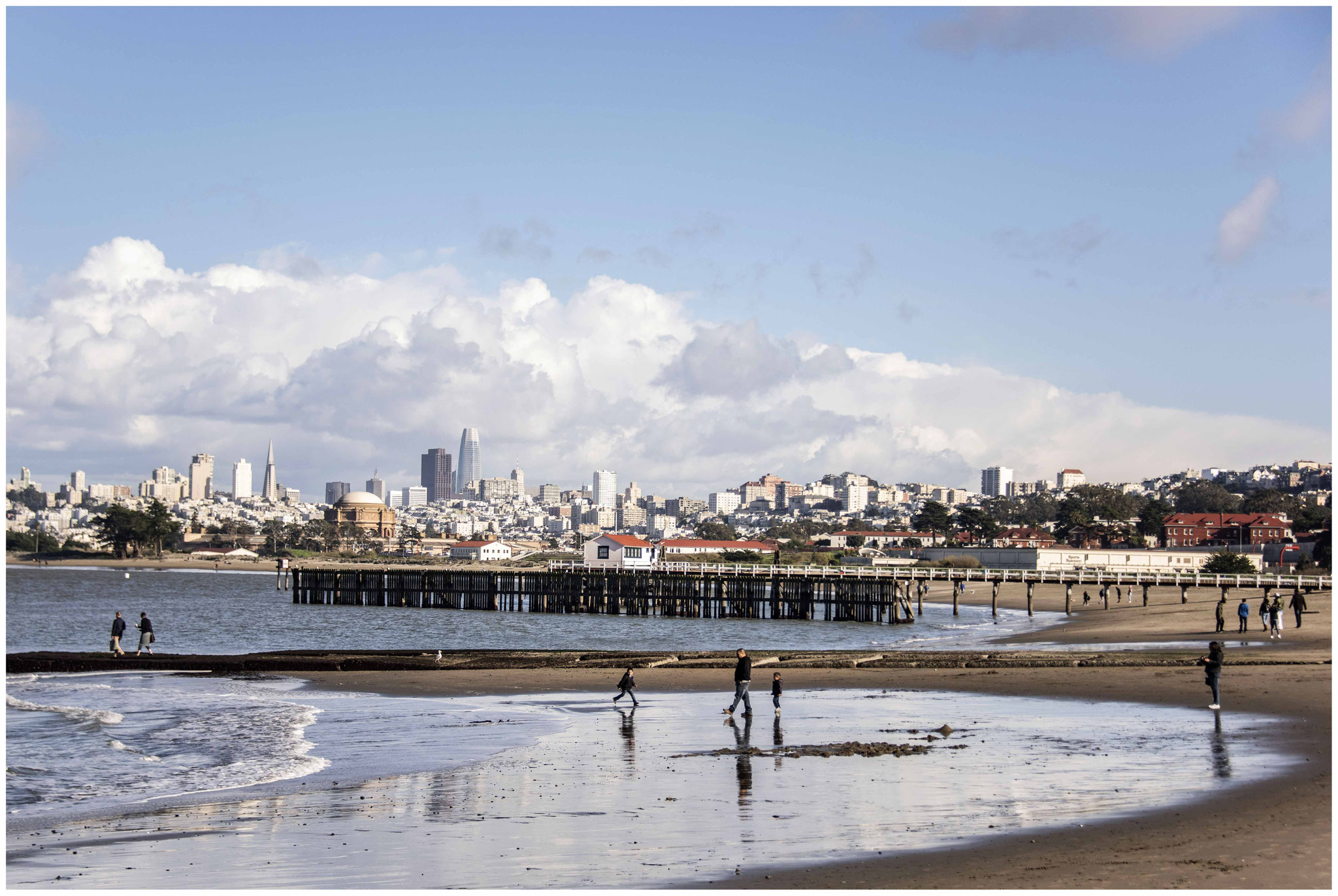 San Francisco aus Sicht des "Crissy Field" Parks 