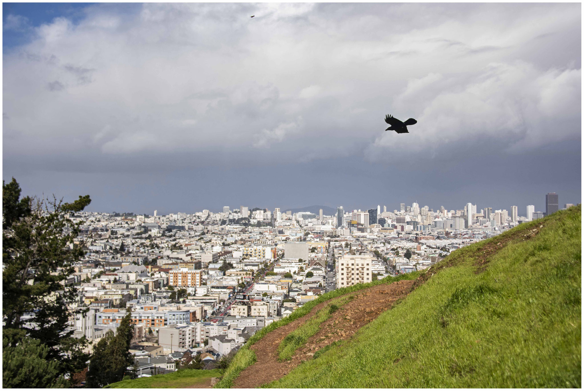 Aussicht über San Francisco vom "Bernal Heights Park"