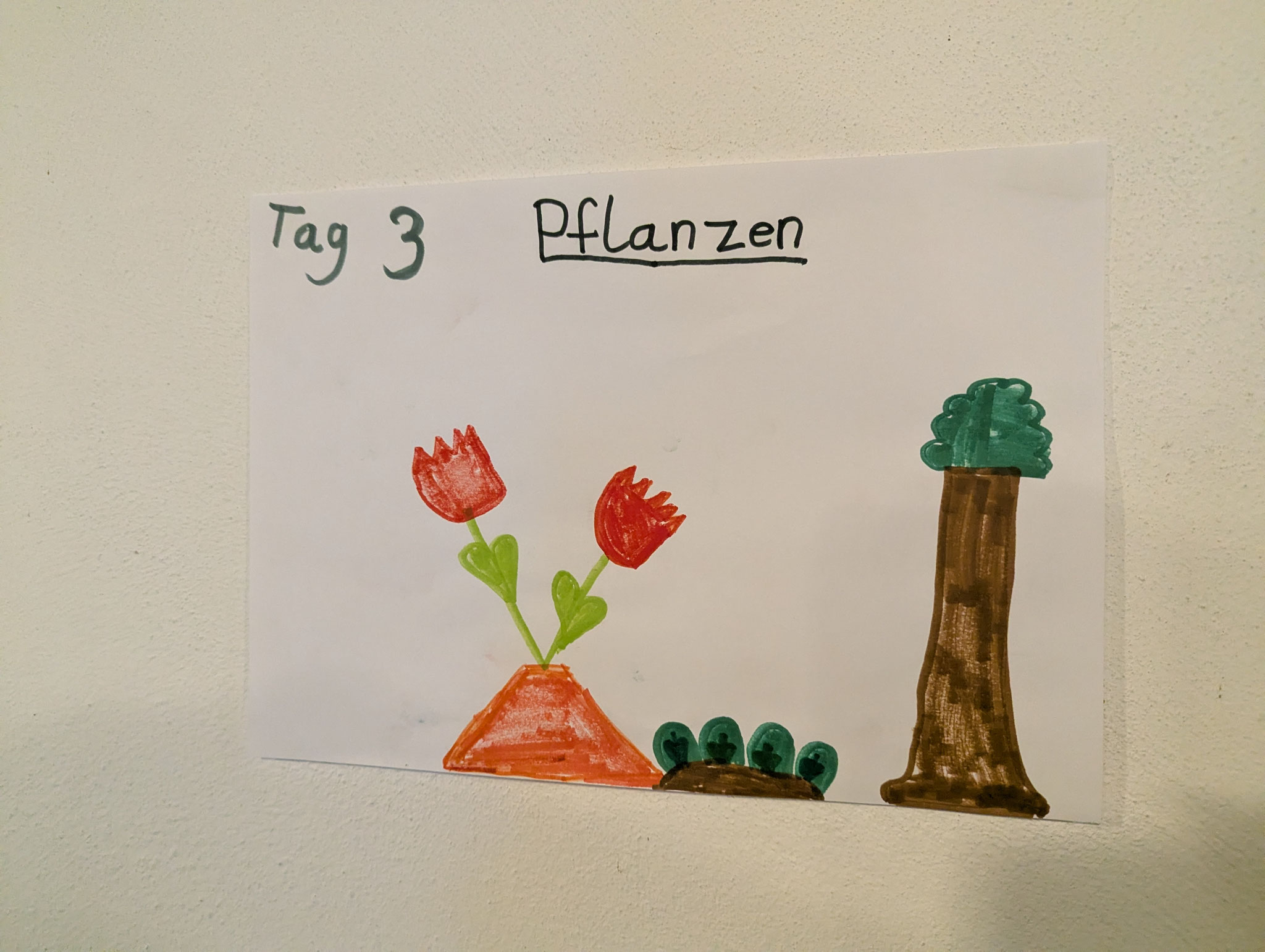 Die Christenlehrekinder haben Bilder zur Schöpfung gemalt.