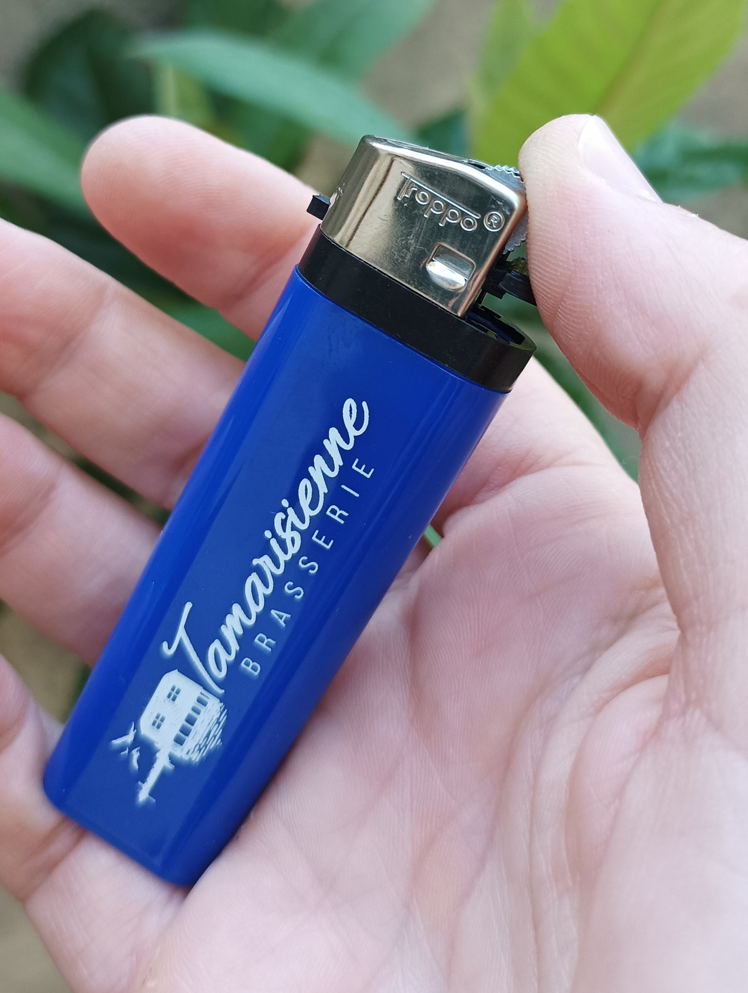 Briquet pour la Tamarisienne