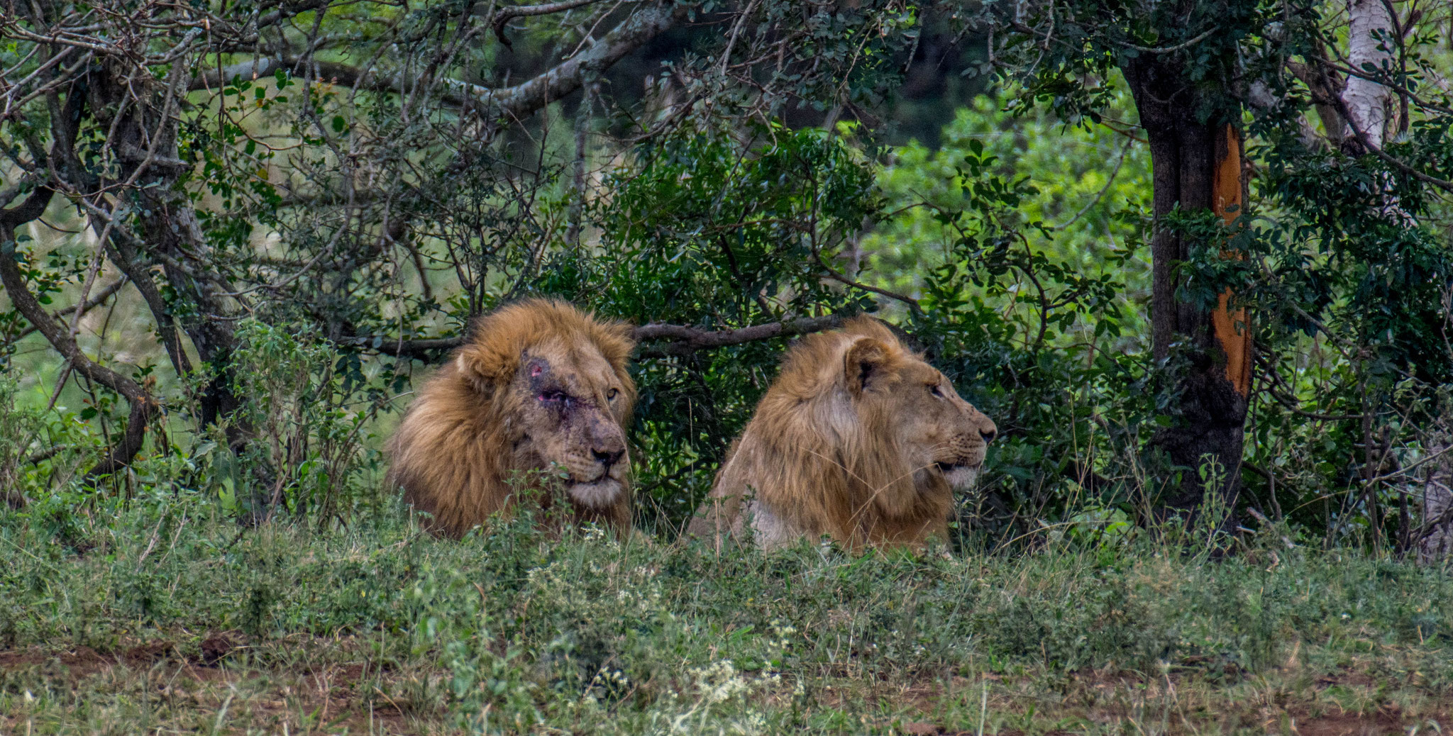 Umdloti Lesotho East London Fit And Happy Life
