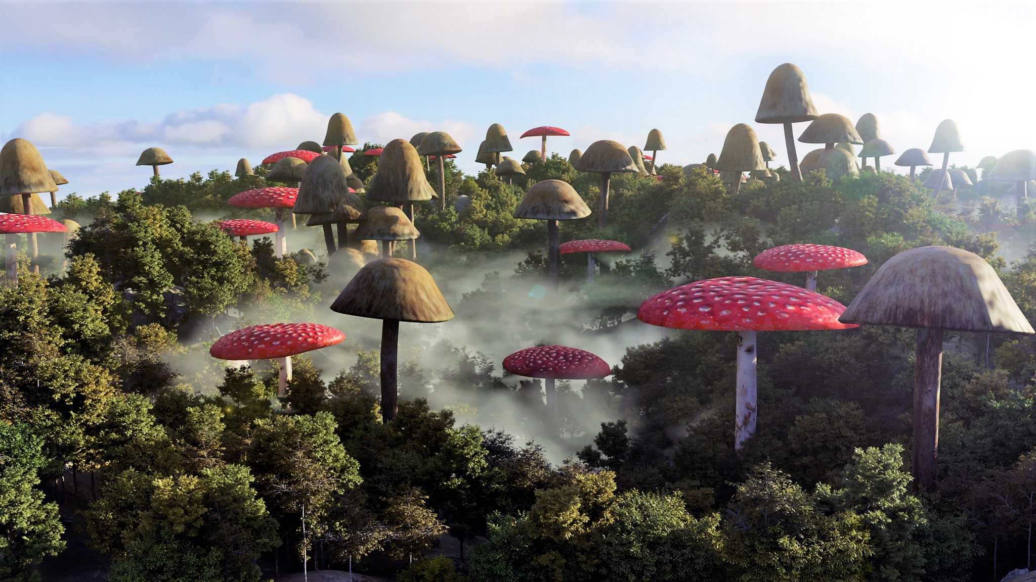 Mushroomland 7996