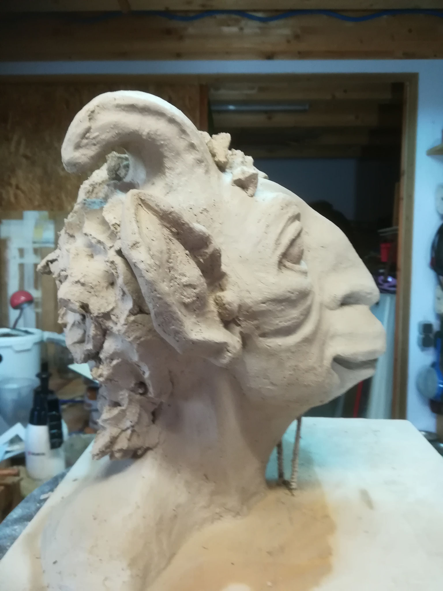 Faun