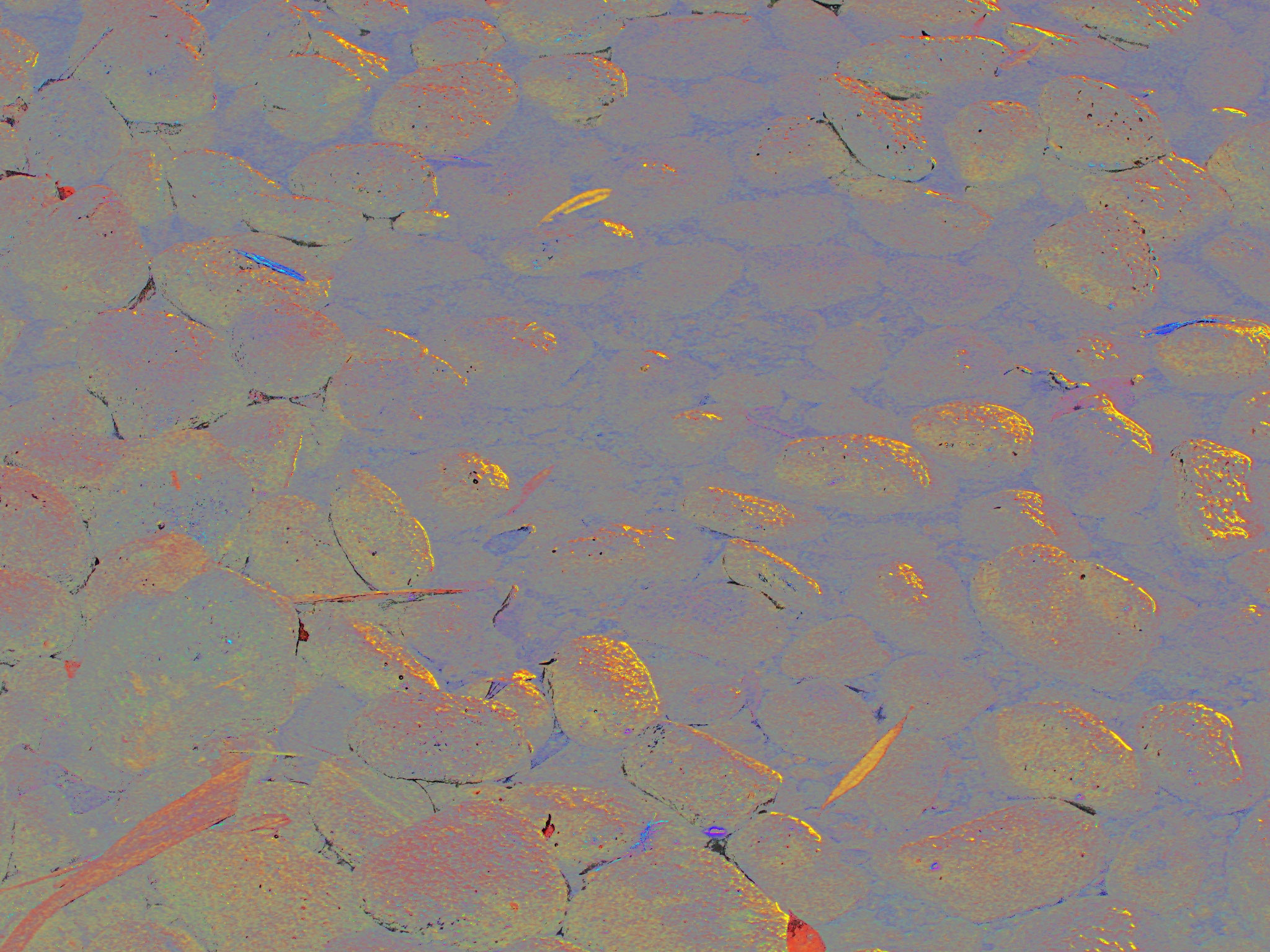 Blaue Meditation