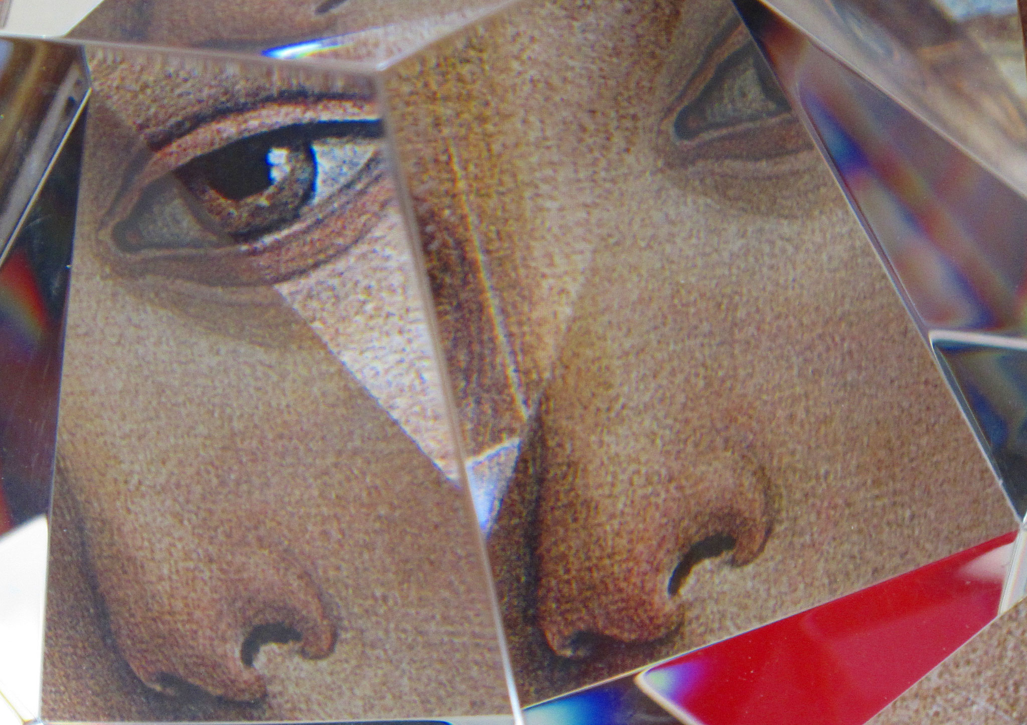 Das Auge der Venus