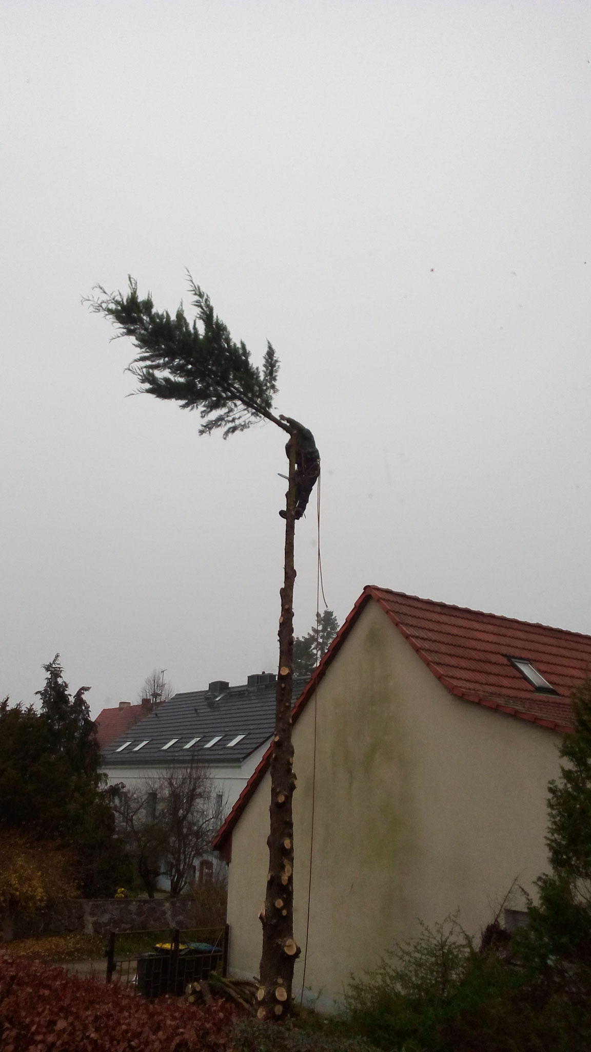 und fällt...