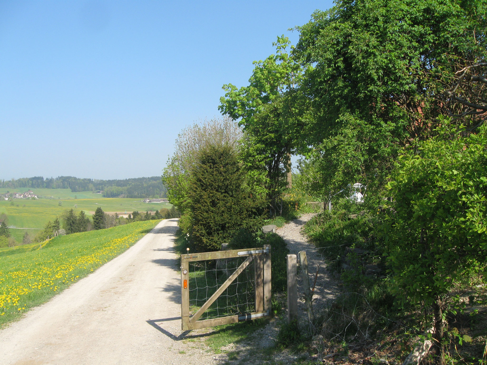 Treffpunkt im Naturgarten an der Eschenstrasse 10