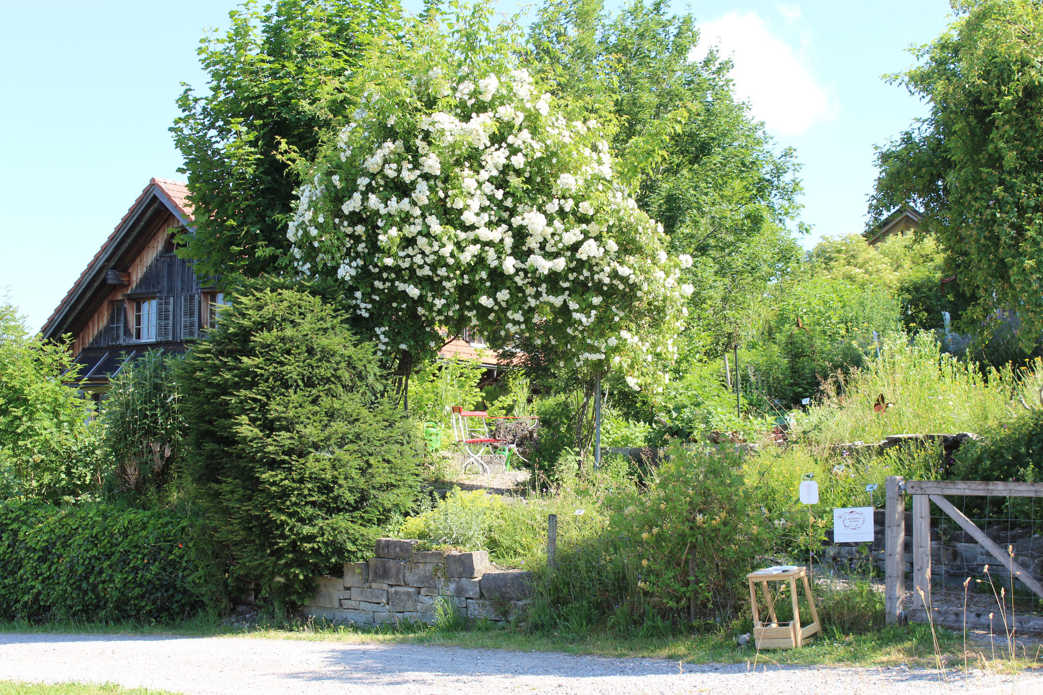 Blick vom Eingang zum Garten an der Eschenstrasse 10