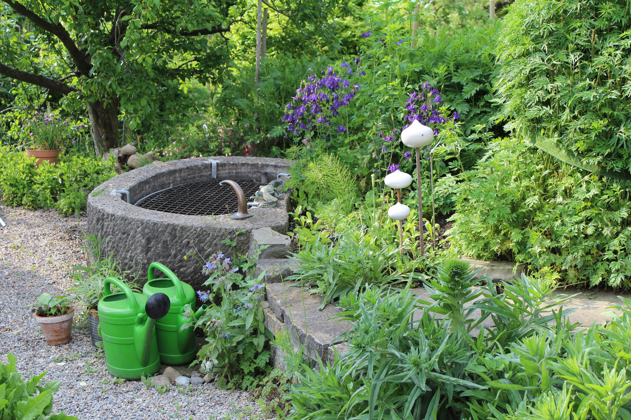 Wasserquelle im Hortulus