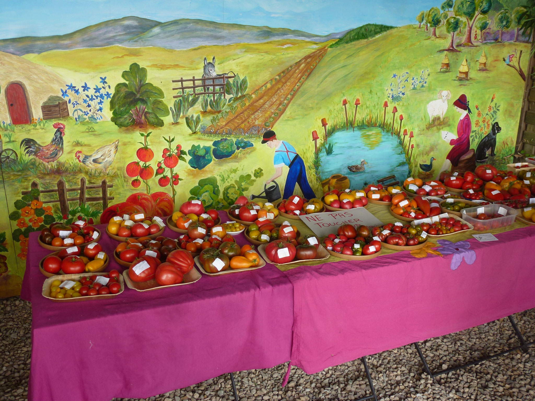 Exposition des tomates devant la fresque du jardin