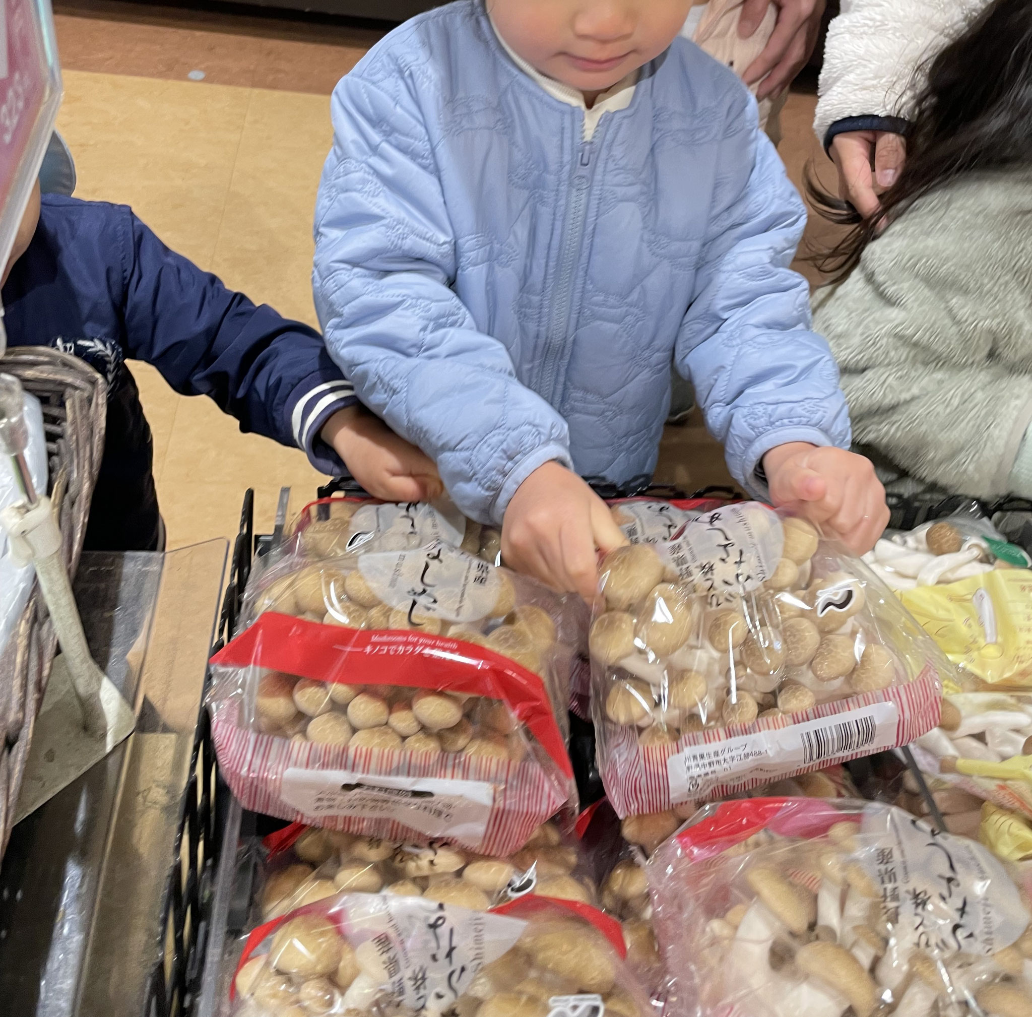 これこれ。　いろいろな種類のきのこがあるね。みんなで1つずつ買って帰ってきました。これでお料理のお手伝いをしますよ。それは後編で。。